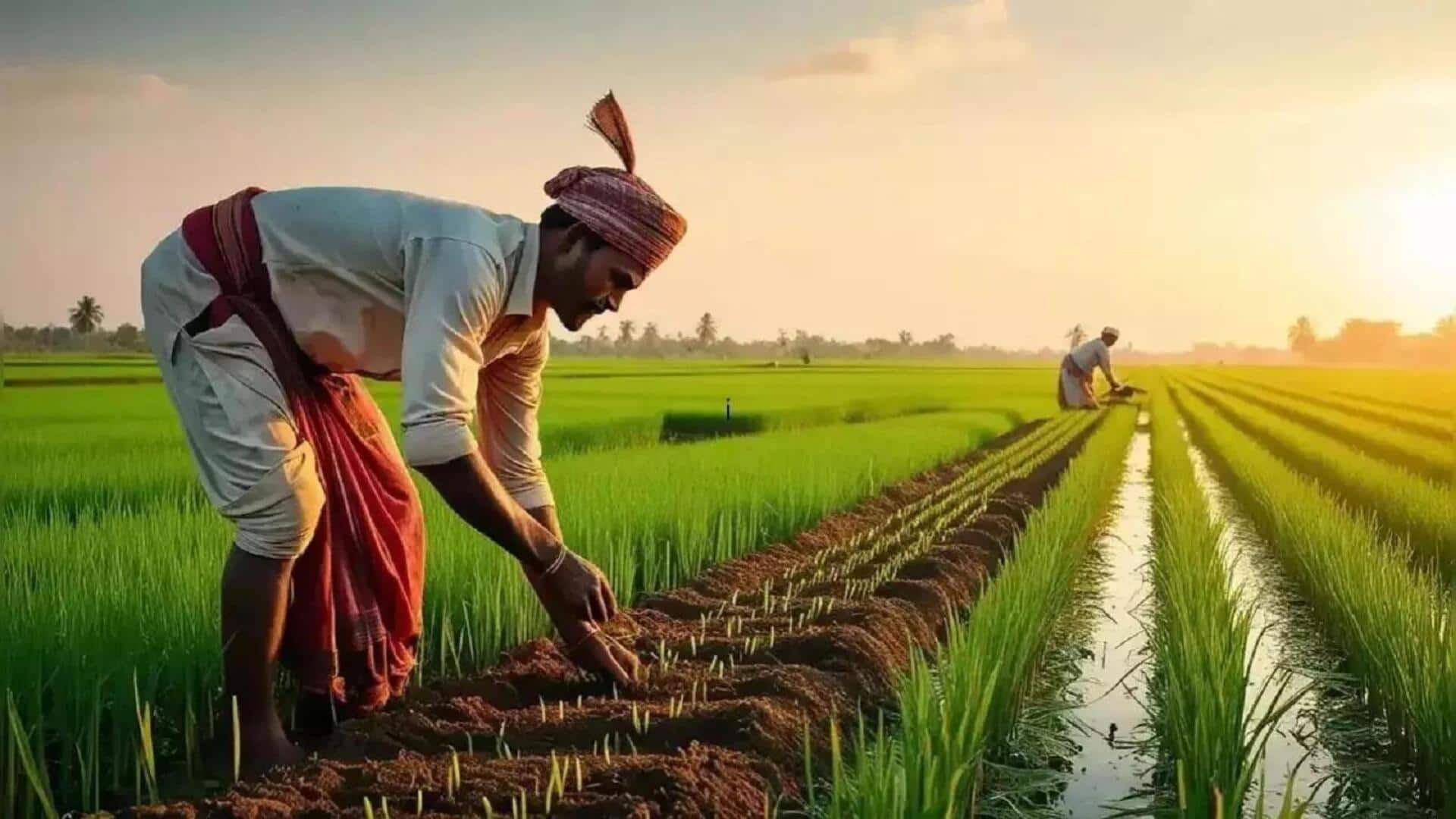 PM Kisan: రైతుల ఖాతాల్లో రూ. 2 వేలు.. ఆగస్టు 2న పీఎం కిసాన్ డబ్బుల జమ..? PM Kisan: రైతుల ఖాతాల్లో రూ. 2 వేలు.. ఆగస్టు 2న పీఎం కిసాన్ డబ్బుల జమ..?