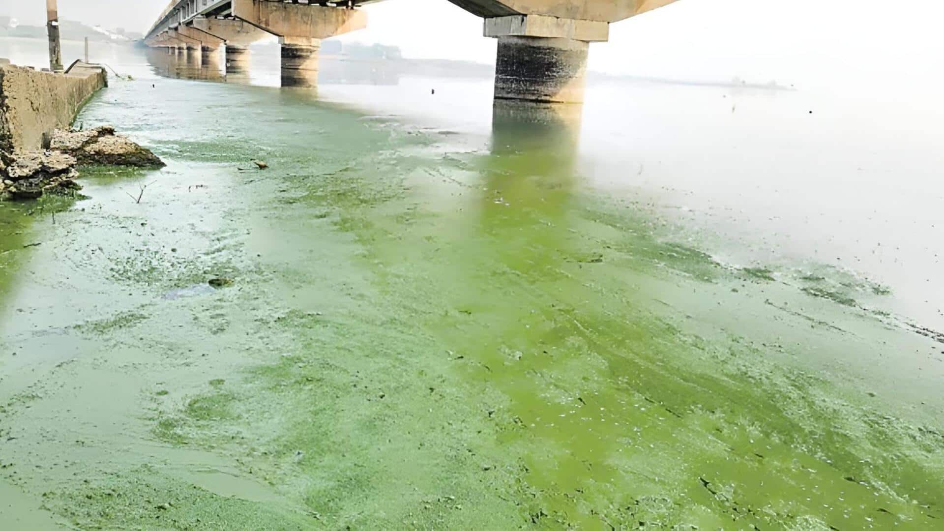 Krishna River: కృష్ణమ్మ'కు సమస్యలు పెరుగుతున్నాయి.. దుర్వాసనలో పెను సవాళ్లు