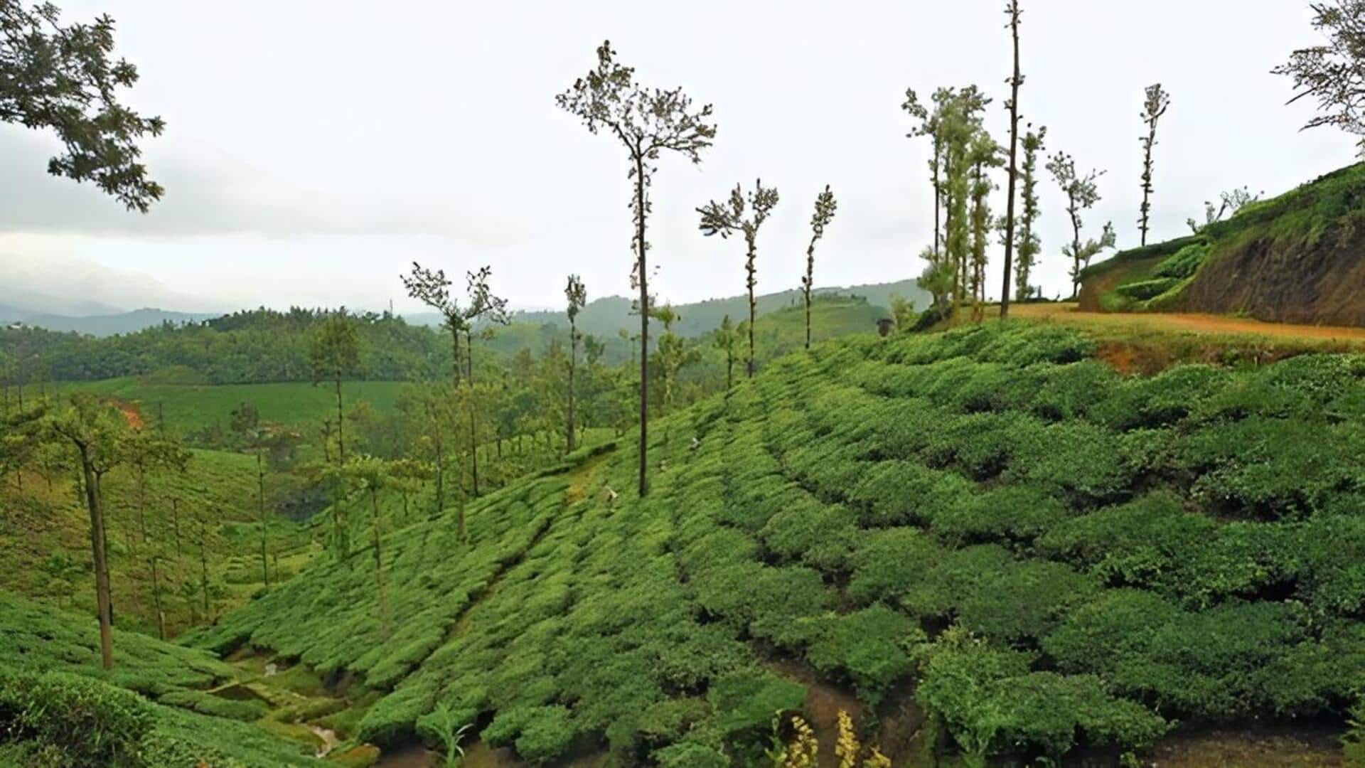 Kerala: కేరళకు కొత్త పేరు..? 'కేరళమ్‌'కు ఆమోదం తెలపనున్న కేంద్ర క్యాబినెట్‌..!