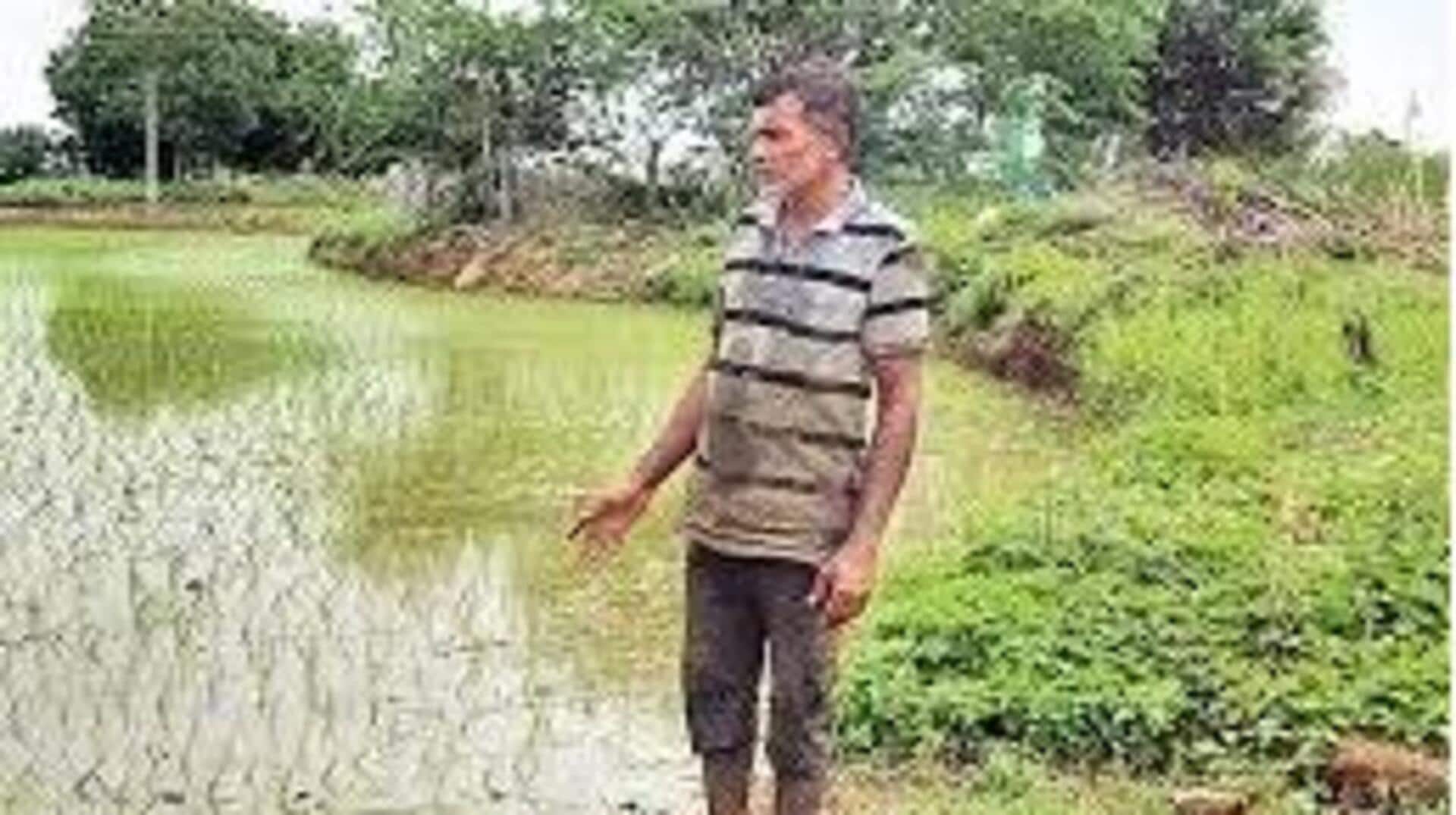Telangana: తగ్గుతున్న మిరప సాగు విస్తీర్ణం..పెట్టుబడి పెరగడంతో ప్రత్యామ్నాయ పంటల వైపు రైతులు చూపు Telangana: తగ్గుతున్న మిరప సాగు విస్తీర్ణం..పెట్టుబడి పెరగడంతో ప్రత్యామ్నాయ పంటల వైపు రైతులు చూపు
