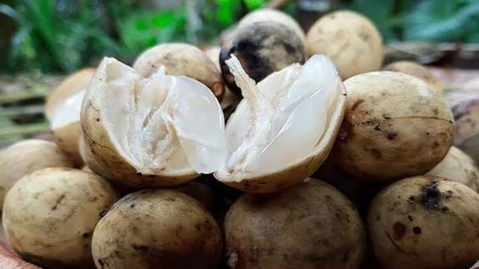 Langsat fruit : లాంగ్‌సాట్ పండు తింటే ఎన్నో లాభాలు.. ఆశ్చర్యపరిచే ఆరోగ్య ప్రయోజనాలు!