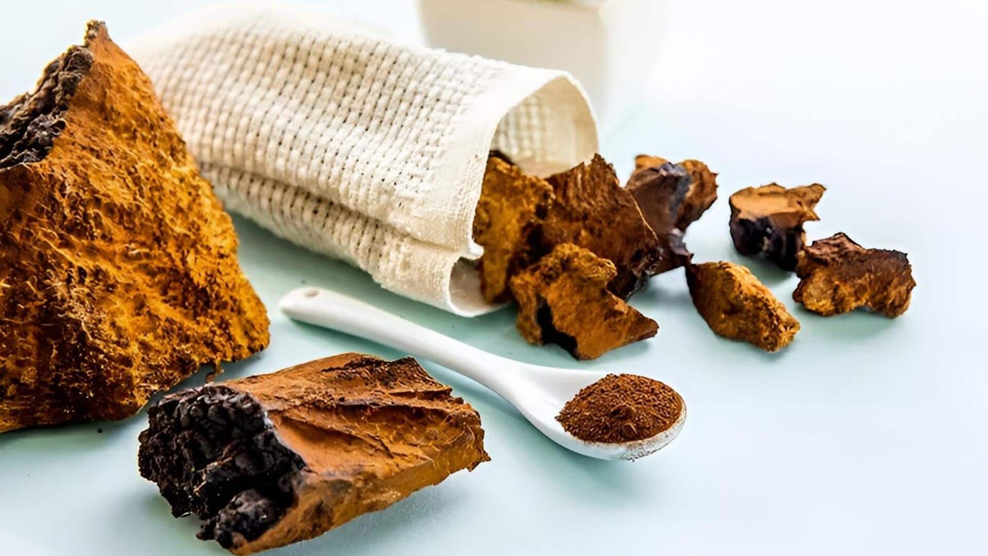Chaga Mushrooms: చాగ పుట్టగొడుగులు: ఆరోగ్యానికి కొత్త సూపర్ ఫుడ్ ఇదే!