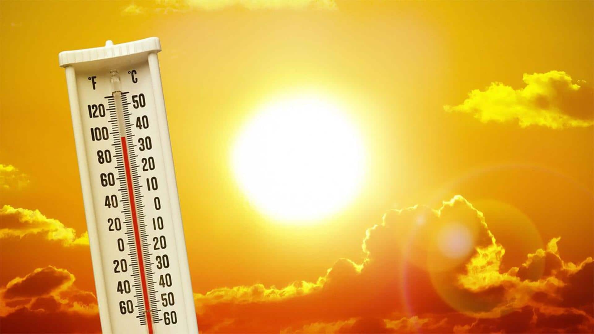 Heatstroke: భగ్గుమన్న ఎండలు.. వడదెబ్బ కారణంగా 34 మంది మృతి