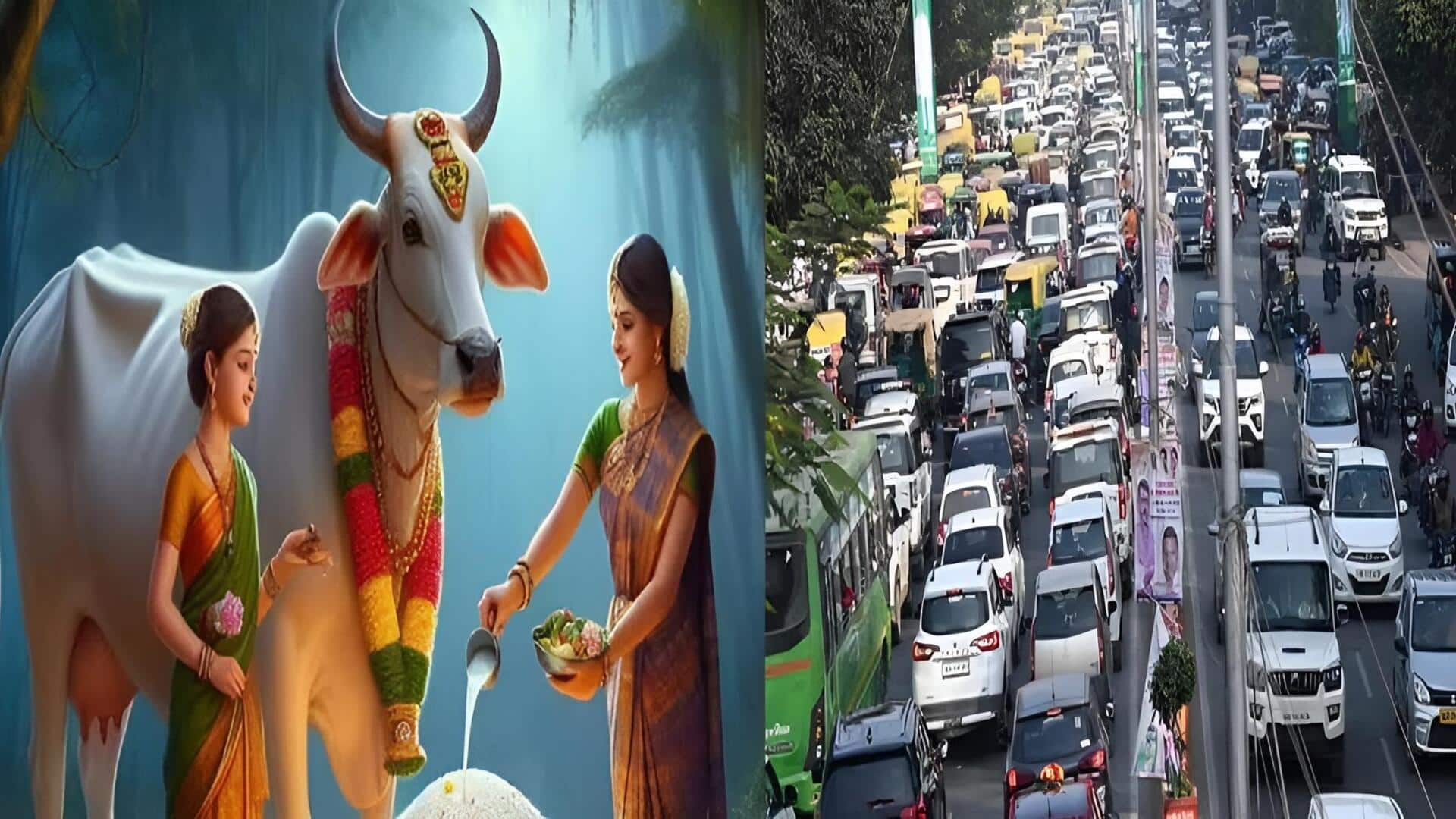 Kanuma Festival Travel: కనుమ పండుగ రోజున ప్రయాణం చేయకూడదా?.. దీని వెనుక ఉన్న కారణాలివే!