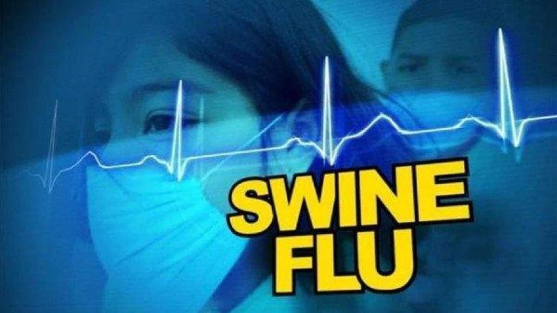 Swine flu: తెలంగాణ రాష్ట్రంలో స్వైన్‌ ఫ్లూ కేసుల కలకలం..