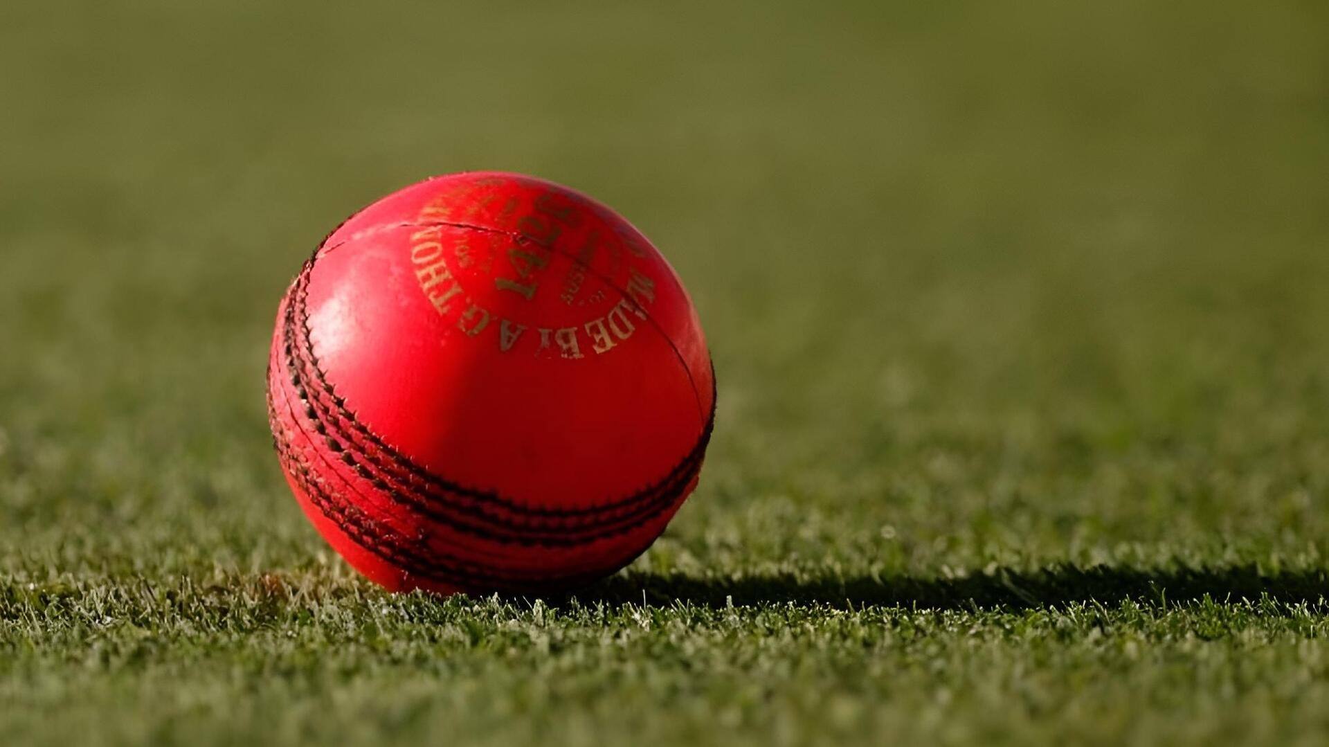 ICC: టెస్టు క్రికెట్‌లో కీలక మార్పులకు ఐసీసీ ఆమోదం.. పింక్ బాల్ ప్రయోగానికి గ్రీన్ సిగ్నల్