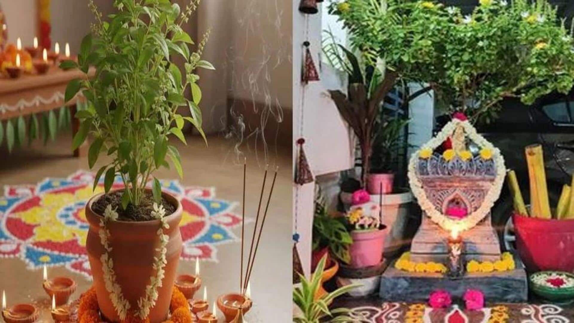 Diwali 2025: దీపావళికి ప్రత్యేక పూజ.. తులసి ఆచారాలు ఎందుకు ముఖ్యమో తెలుసా?