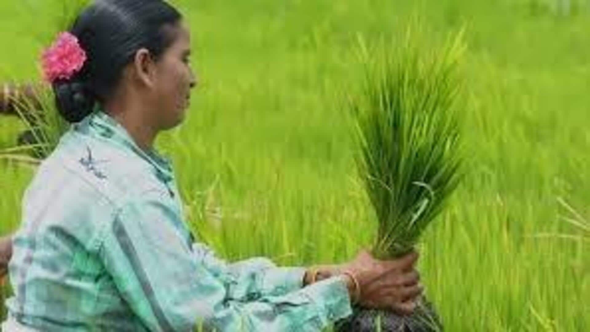 Andhrapradesh: కౌలు రైతులకూ 'అన్నదాత సుఖీభవ'.. 20వ తేదీలోగా అర్హుల జాబితాలు సిద్ధం చేయాలన్న ప్రభుత్వం Andhrapradesh: కౌలు రైతులకూ 'అన్నదాత సుఖీభవ'.. 20వ తేదీలోగా అర్హుల జాబితాలు సిద్ధం చేయాలన్న ప్రభుత్వం