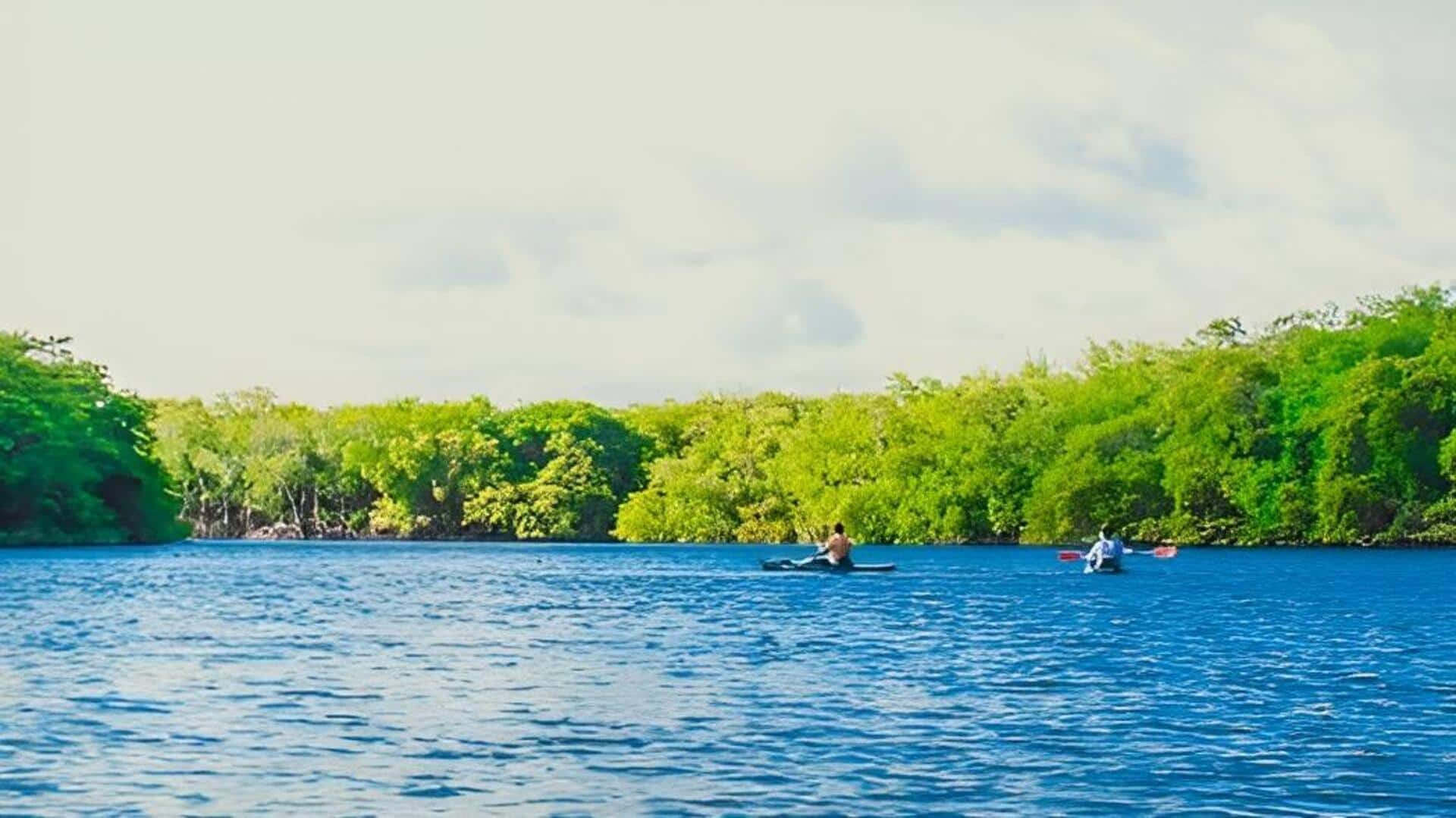 Land of rivers: మన దేశంలో 'డైమండ్ నది' ఏది? అసలు నిజం ఇదే!