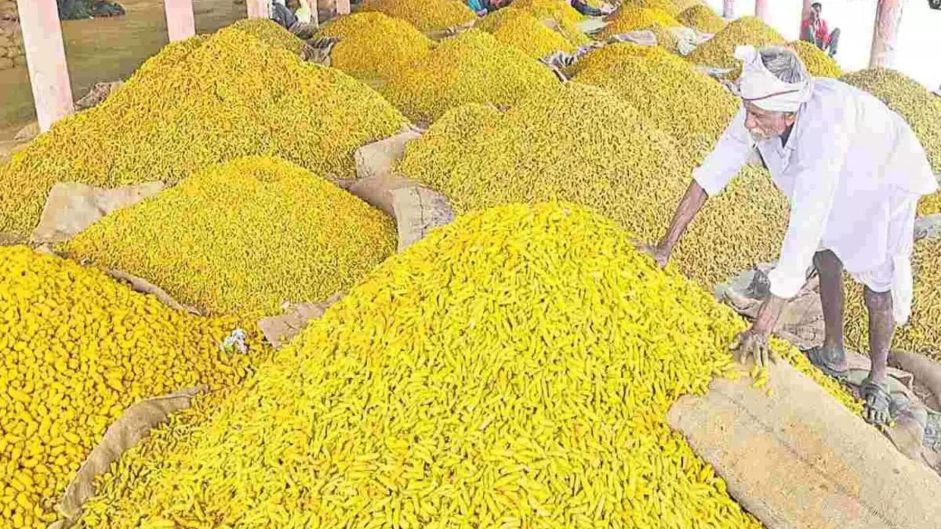 Armour Turmeric: ఆర్మూర్‌ ప్రాంతంలో పండే పసుపుకు జీఐ ట్యాగ్‌