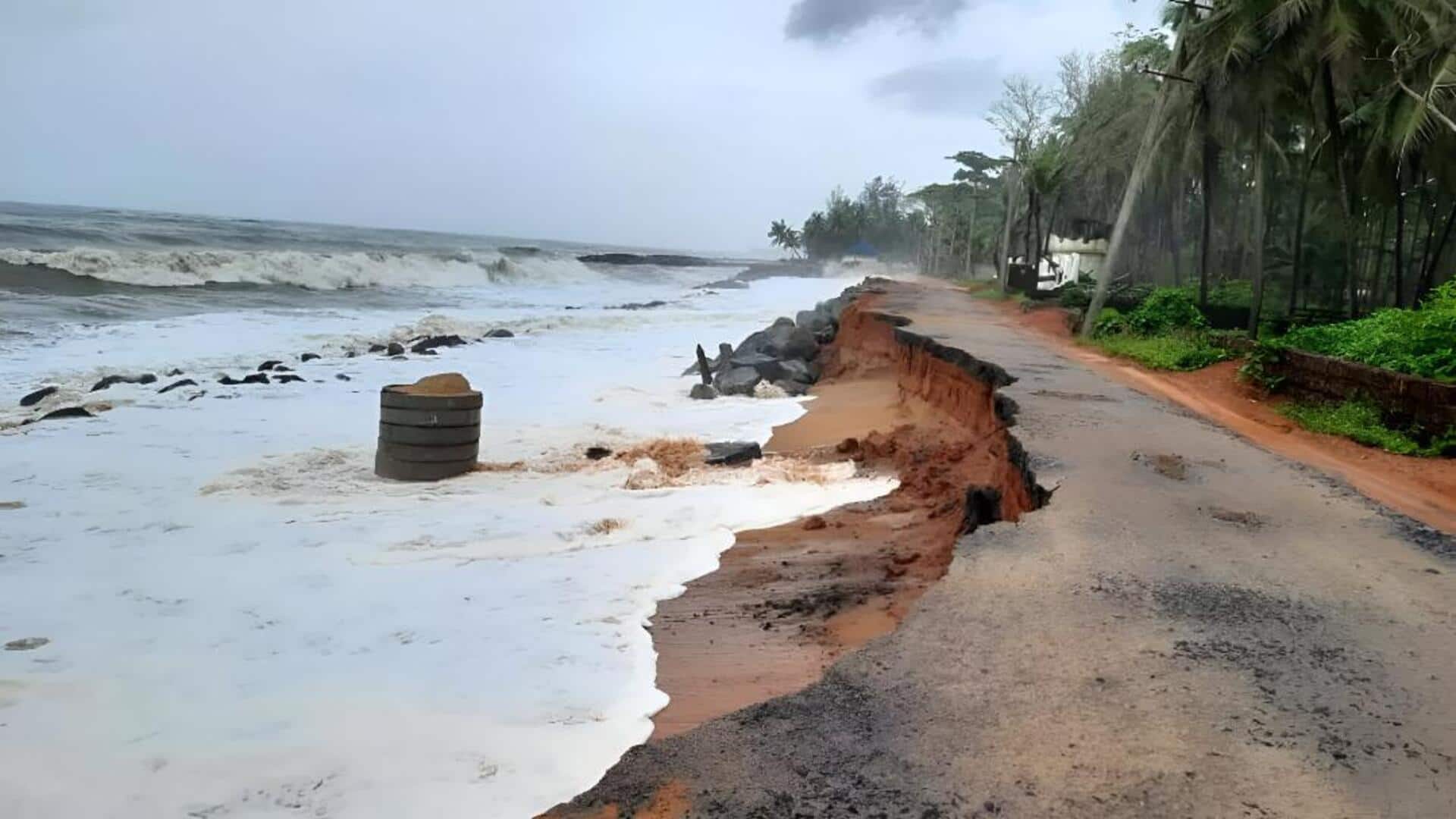 Andhra News: ఆంధ్రప్రదేశ్‌లో 'గ్రేట్‌ గ్రీన్‌ వాల్‌' ప్రాజెక్ట్ ప్రారంభం: తీరప్రాంత రక్షణకు కొత్త దిశ