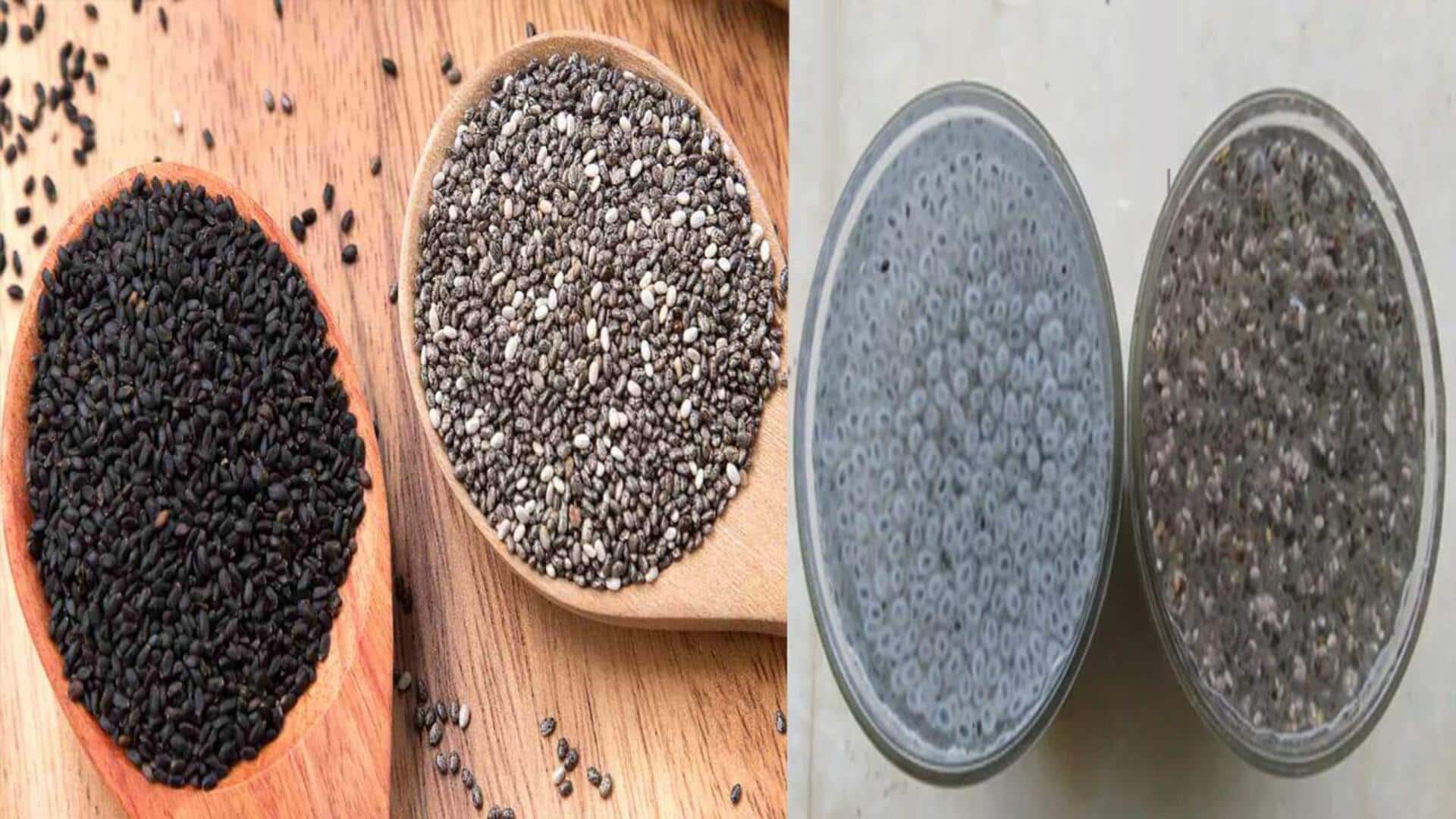 Chia Seeds: చియా గింజలతో చర్మానికి మేలు.. 5 ఆశ్చర్యకరమైన ప్రయోజనాలివే..