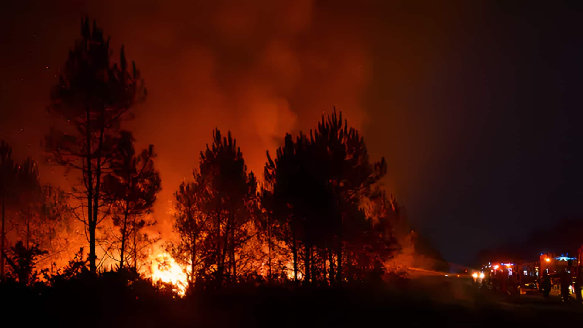 Wildfire in France: ఫ్రాన్స్‌లో కార్చిచ్చు బీభత్సం.. అణుకేంద్రాల దిశగా విస్తరిస్తున్న మంటలు