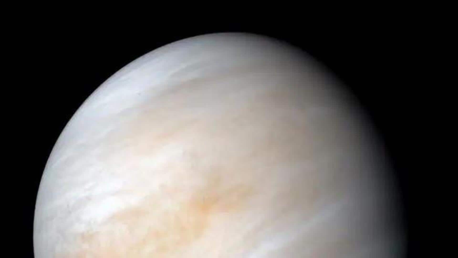 Venus: శుక్రుడిపై జీవం ఉందా.. పరిశోధకులు ఎం చెప్పారంటే 