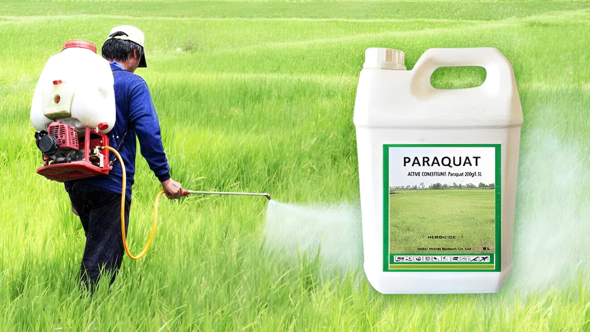 Paraquat Herbicide: పారాక్వాట్ గడ్డిమందుపై రాష్ట్ర నిషేధం.. రైతుల భద్రతకి కీలక నిర్ణయం