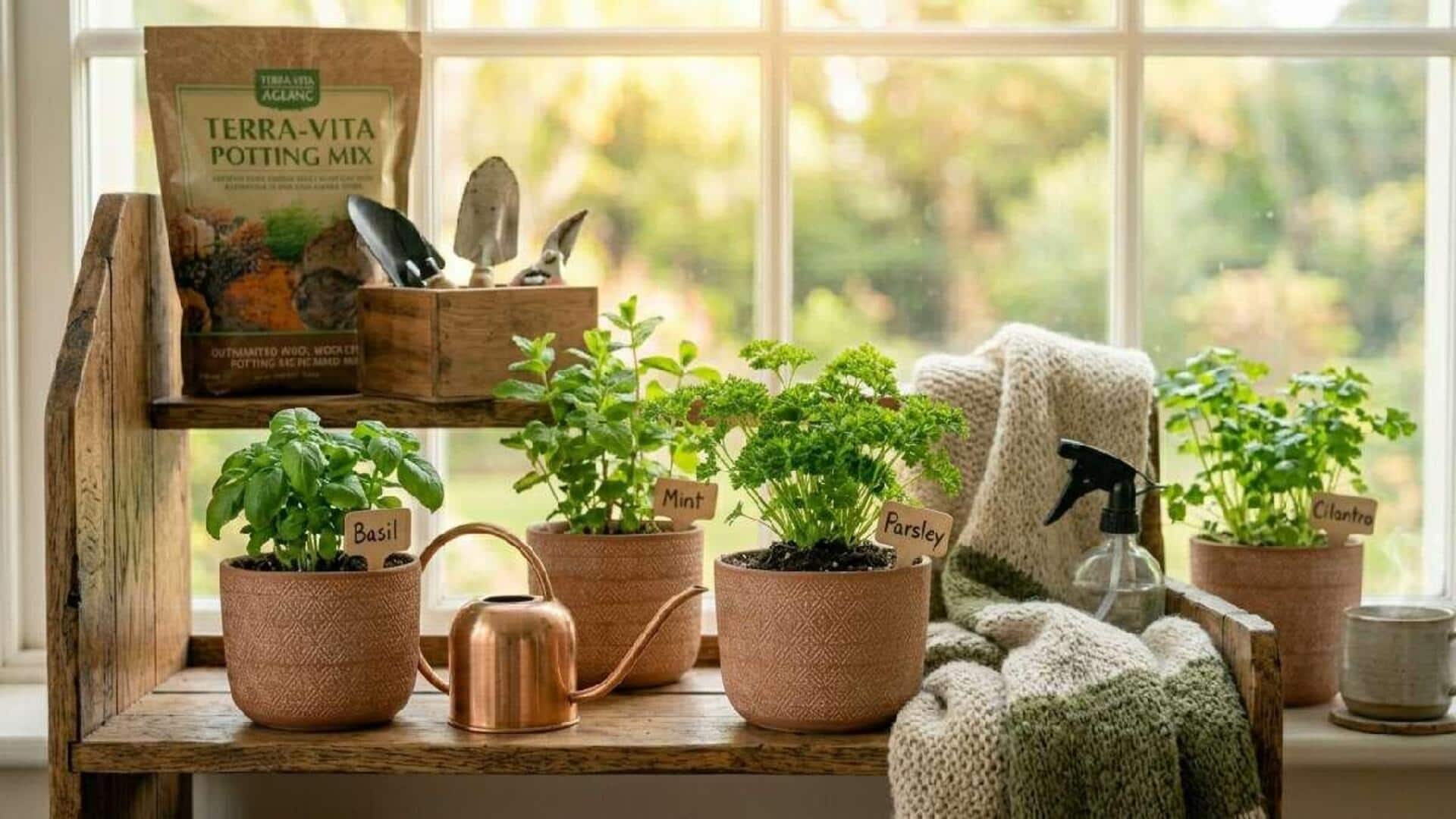Indoor Gardening: ఇండోర్ గార్డెనింగ్ బేసిక్స్.. వేలాడే బుట్టలలో థైమ్ పెంపకం చేయండిలా..