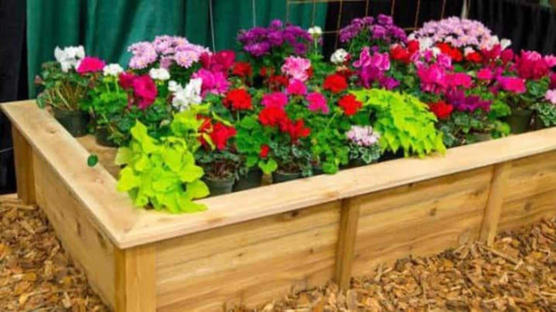 Wooden box planters : పాత చెక్క డబ్బాలను పడేయకండి.. ఇలా చేస్తే అందమైన మొక్కల కుండీలుగా మారిపోతాయి!