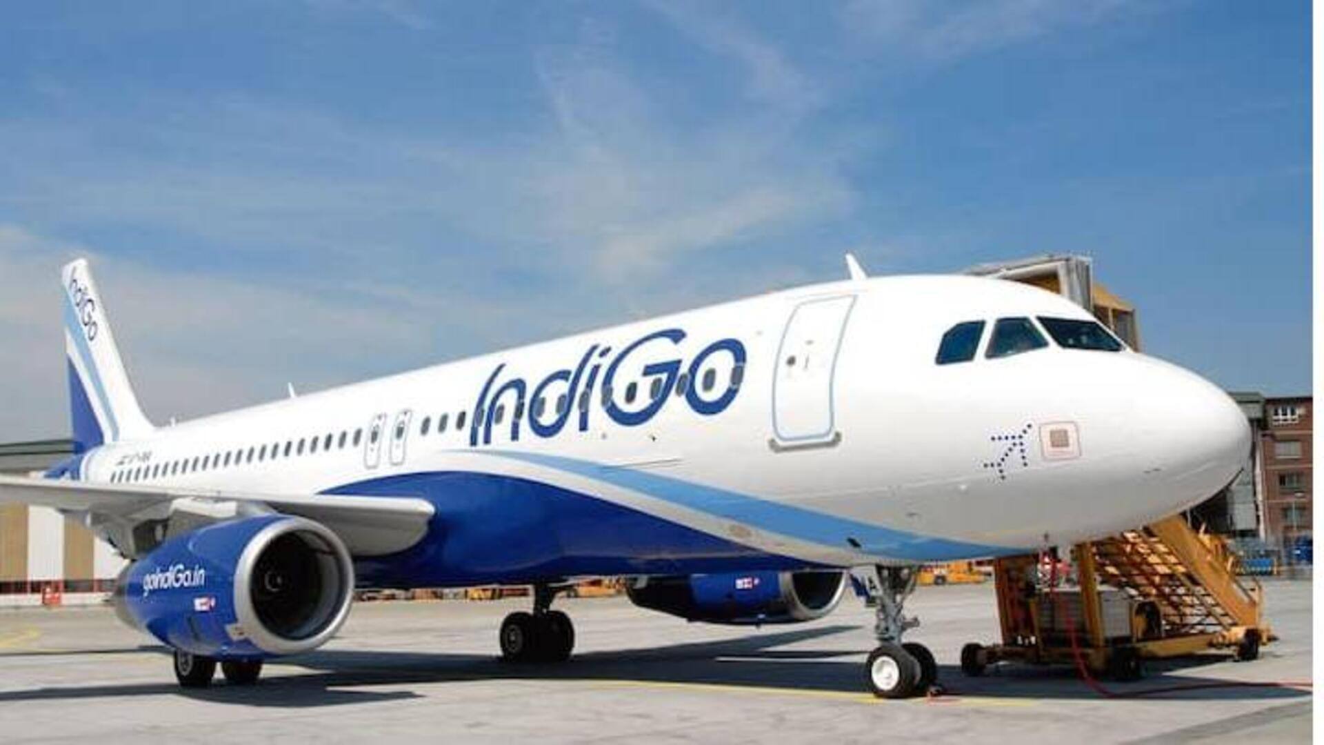 IndiGo: మహిళల కోసం ఇండిగో ప్రత్యేక ఫీచర్‌.. 1,199తో స్పెషల్ సేల్ 