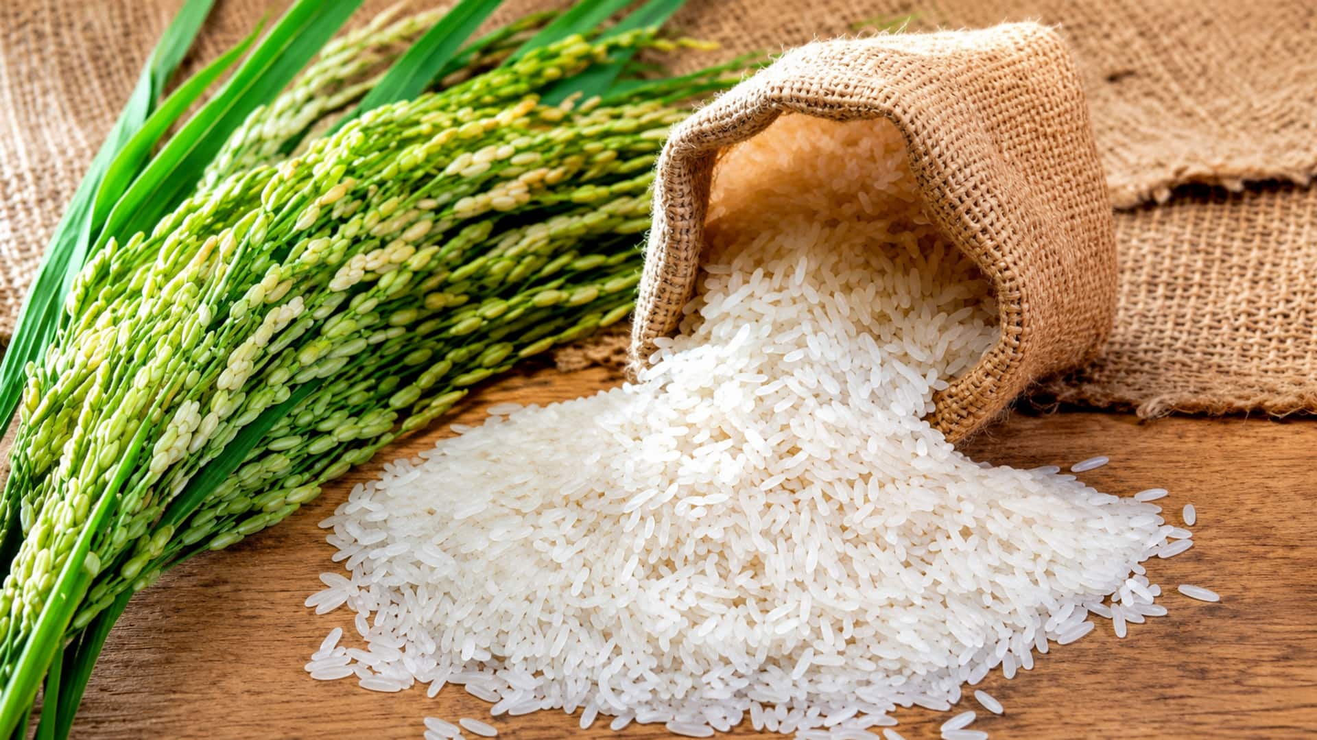 Ethanol Distilleries: ఎఫ్‌సీఐ బియ్యం ఎథనాల్ కంపెనీలకు 40% తక్కువ ధరకే విక్రయం!