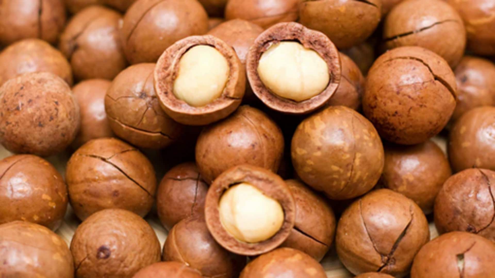 Macadamia Nuts: హార్ట్ నుంచి బ్రెయిన్ వరకు.. మాకాడమియా నట్స్ వల్ల ఎన్నో అద్భుతమైన ప్రయోజనాలు