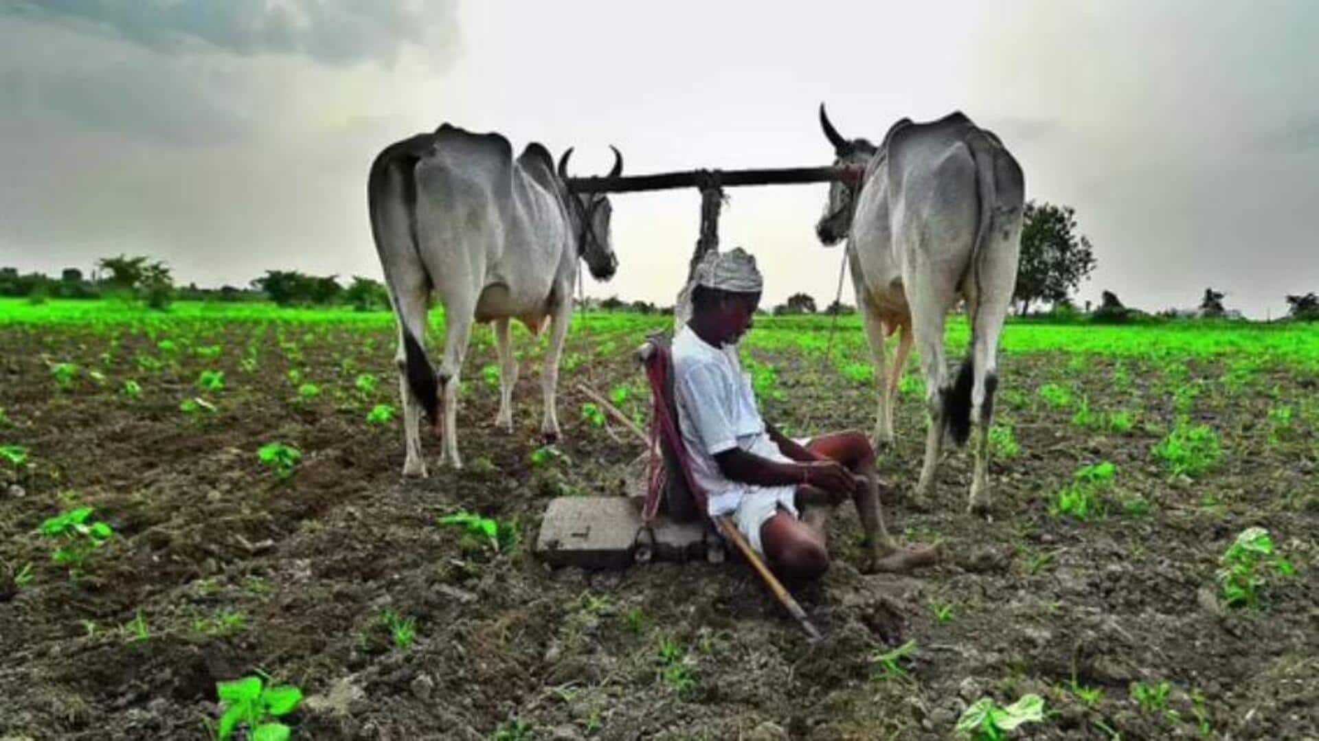 Rythu Bharosa: 9 రోజుల్లో రైతుభరోసా పూర్తి.. ఖాతాల్లో రూ.8,284 కోట్లు