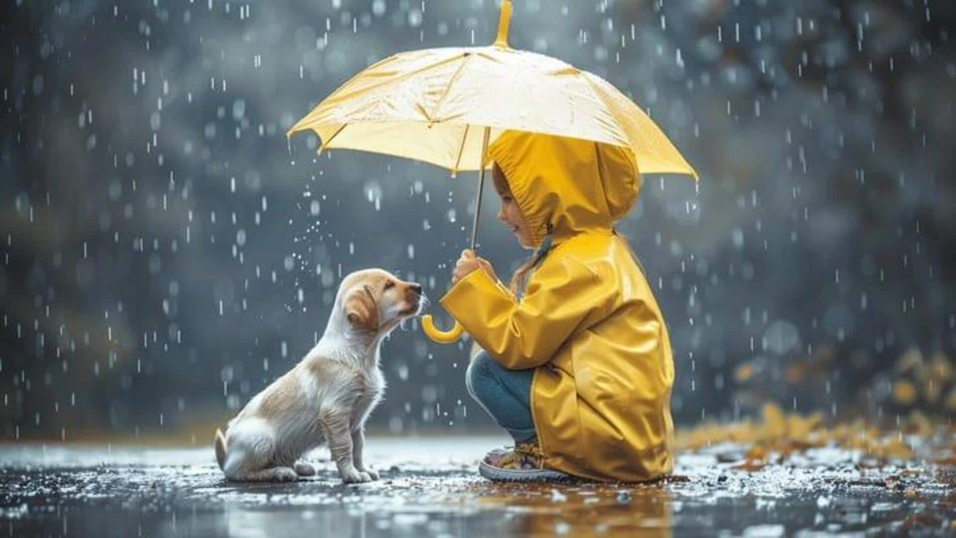 Monsoon: వర్షాకాలంలో మీ పెంపుడు జంతువులను శుభ్రంగా ఉంచడానికి పాటించాల్సిన చిట్కాలివే..