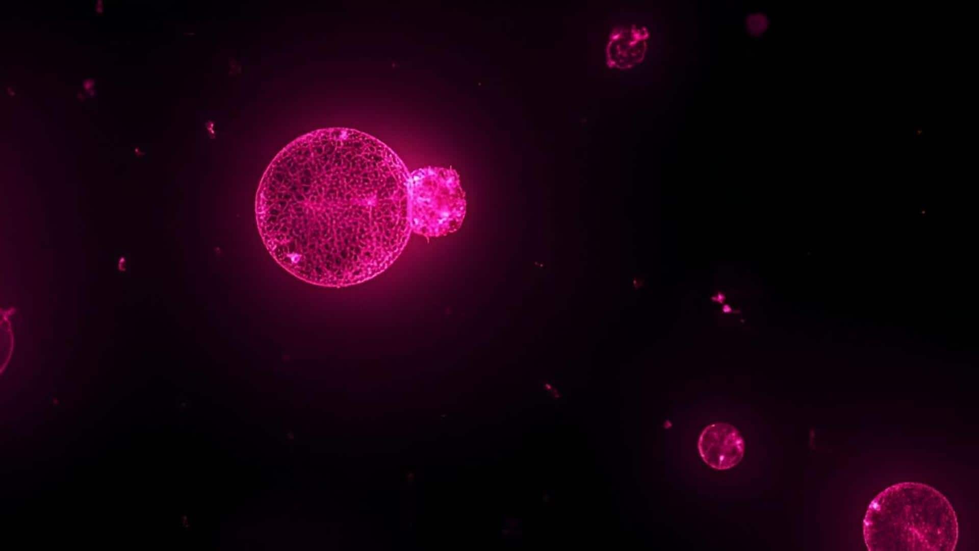 synthetic cell: శాస్త్రవేత్తల సంచలనం.. జీవం లేని పదార్థాలతో కృత్రిమ కణం