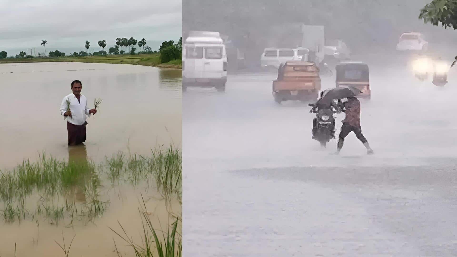Cyclone Ditwah: 'దిత్వా' దెబ్బకు వణికిన నెల్లూరు జిల్లా.. వెంకటాచలంలో అత్యధిక వర్షపాతం నమోదు!