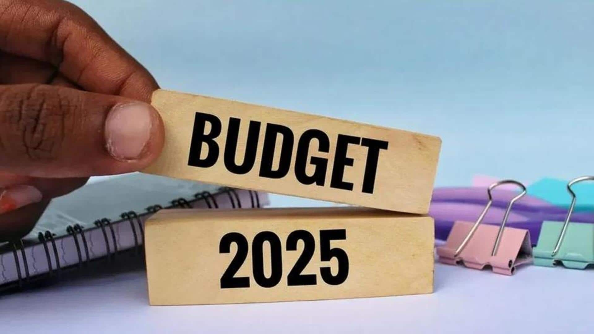 Union Budget 2025: ఆంధ్రప్రదేశ్ అభివృద్ధికి కేంద్రం నుంచి భారీ ఆర్థిక సాయం