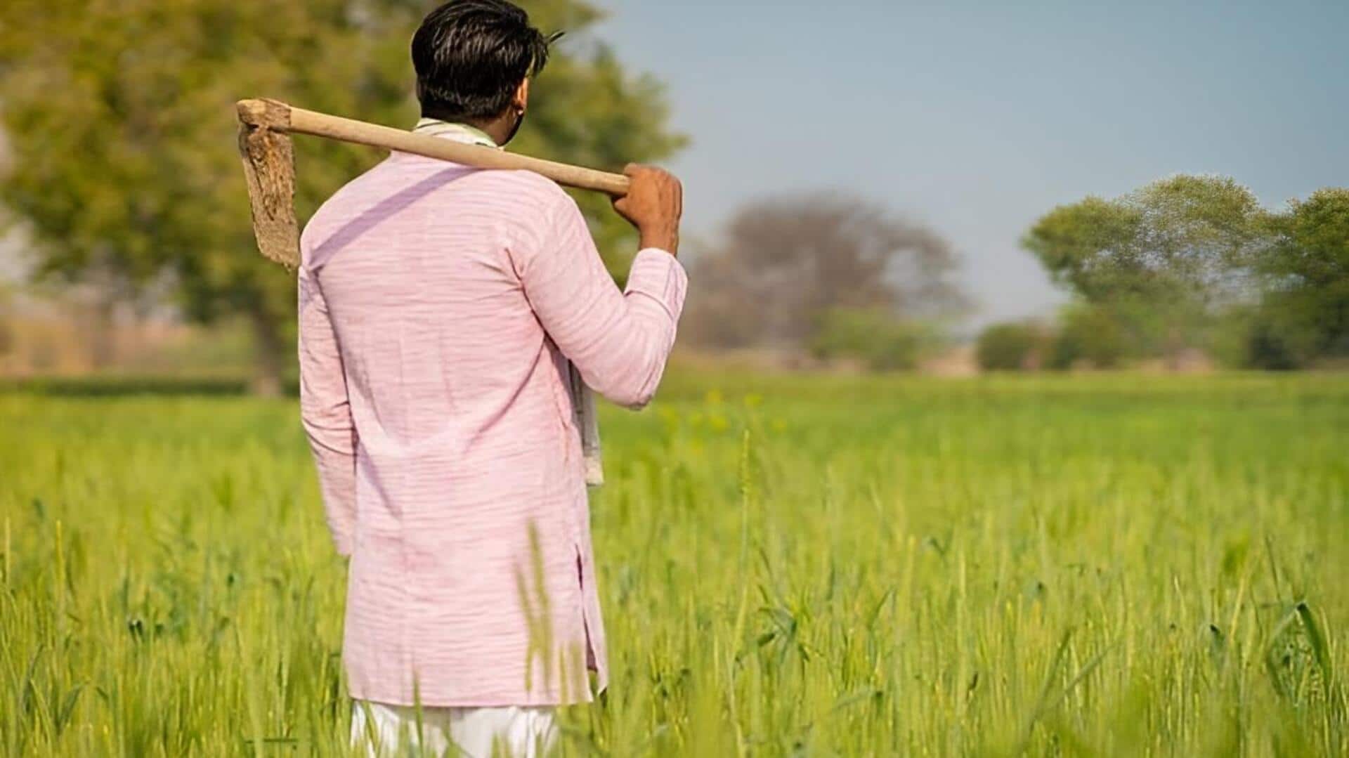 AP Farmers: రైతులకు భారీ ఊరట.. 46,113 వ్యవసాయ విద్యుత్ కనెక్షన్లకు గ్రీన్ సిగ్నల్
