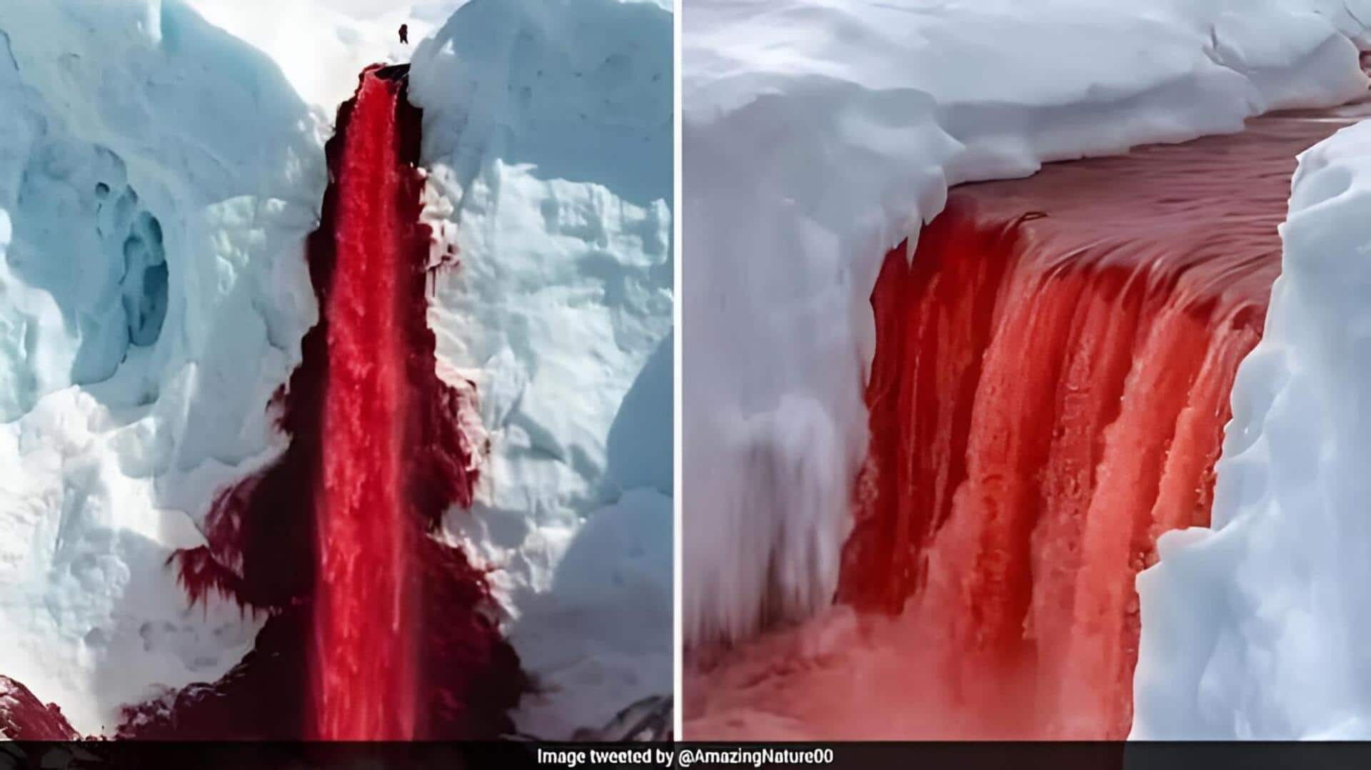 Antarctic Waterfall: అంటార్కిటికాలో రక్త జలపాతం.. ఎరుపు రంగు వెనక శాస్త్రీయ రహస్యం ఇదే..