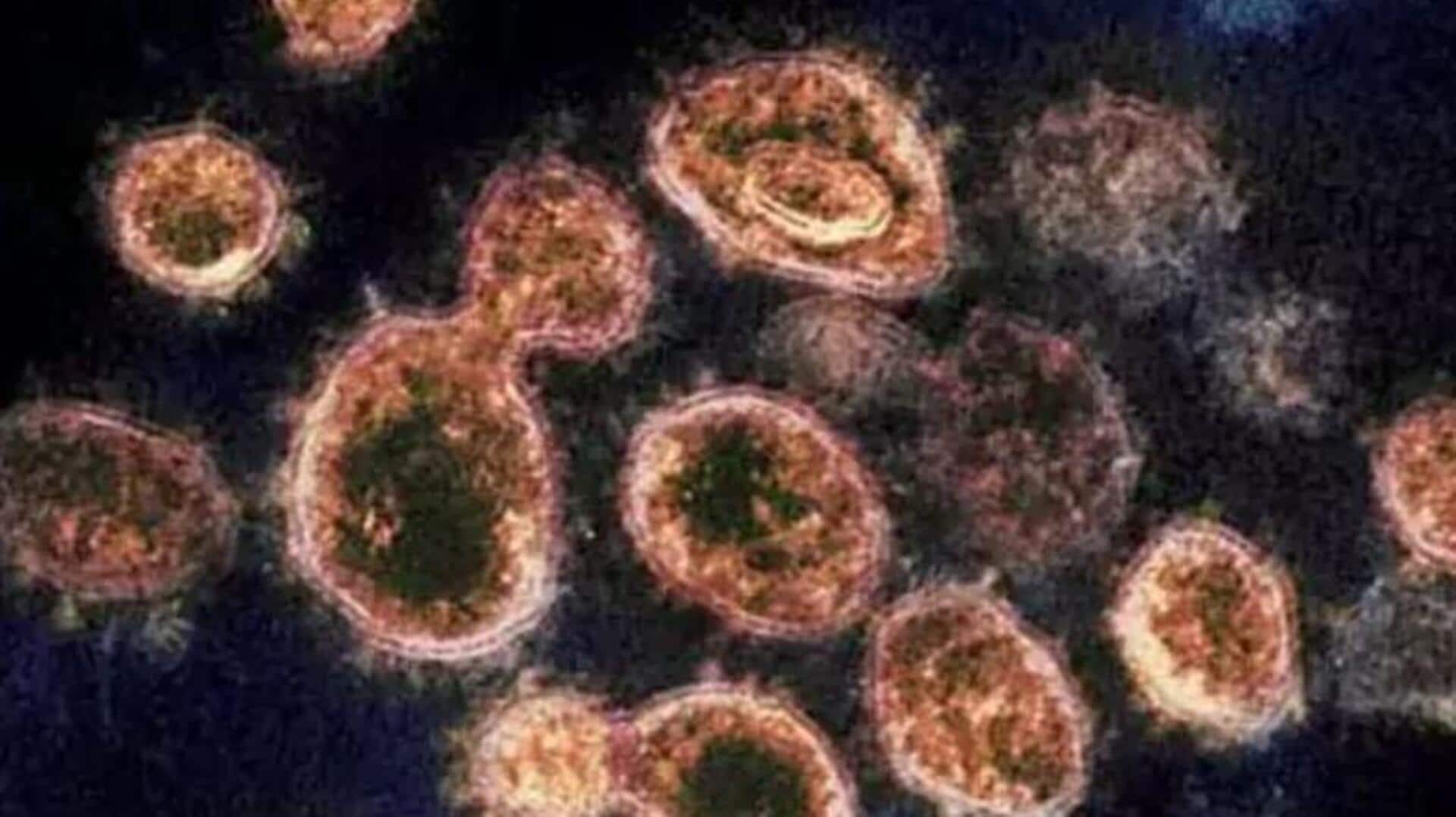 HMPV Virus: మహారాష్ట్రలో ఇద్దరికి హెచ్‌ఎంపీవీ వైరస్.. ఆరోగ్యశాఖ అప్రమత్తత!