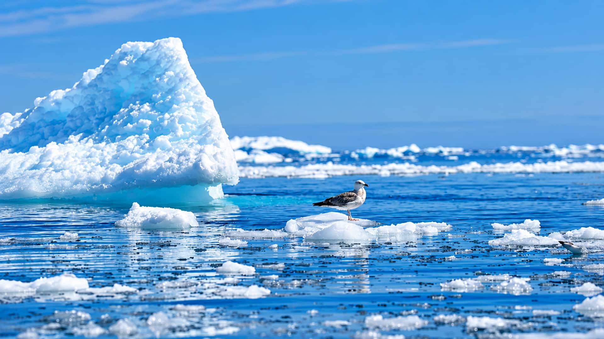 Oceans hit record heat : సముద్రాలు వేడెక్కుతున్నాయ్.. శాస్త్రవేత్తల తాజా హెచ్చరిక ఇదే!