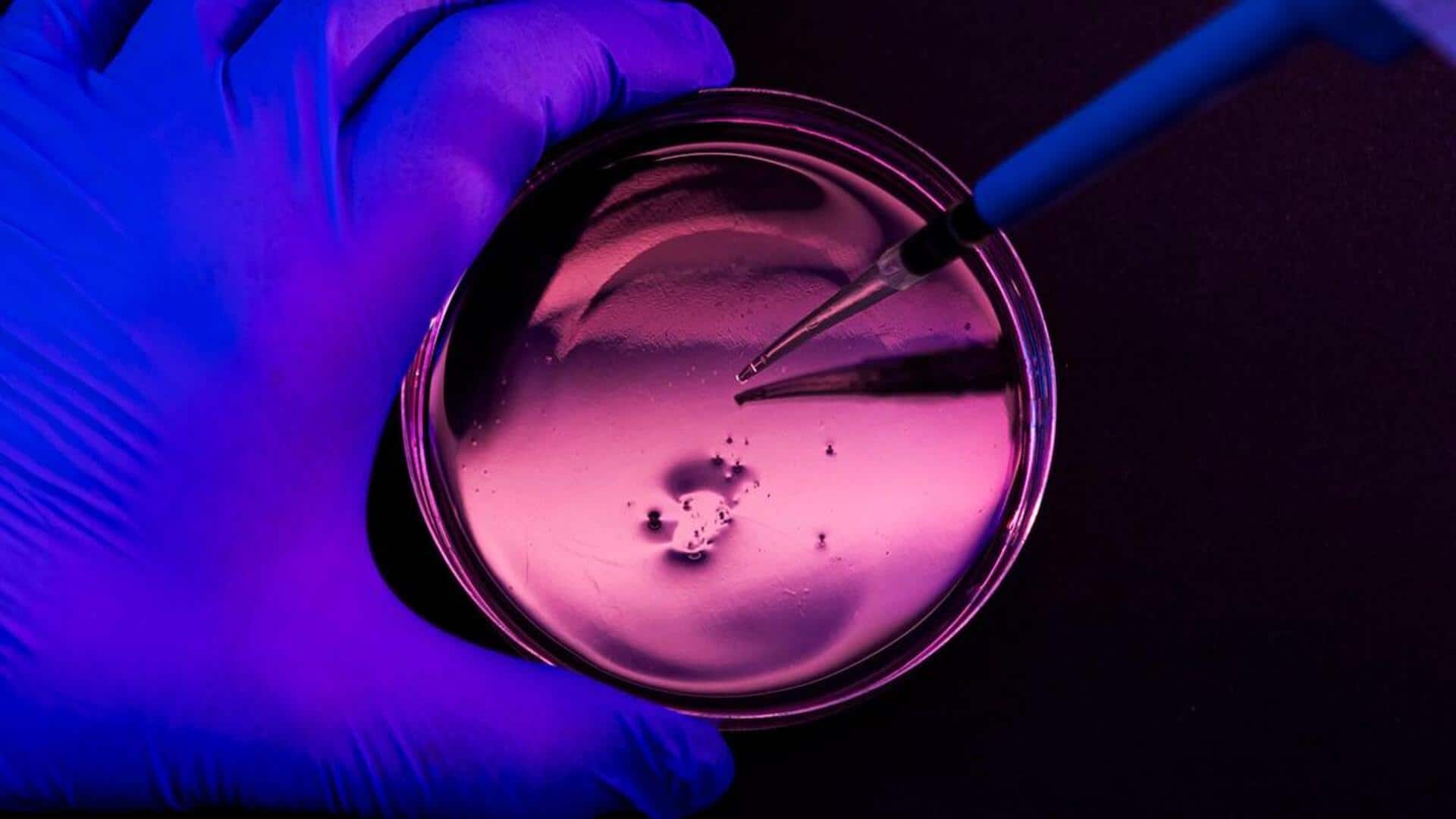 Hospital Superbug: ఆసుపత్రుల్లో ప్రమాదకరంగా మారుతున్న సూపర్‌బగ్.. చివరి ఆశగా భావించే యాంటీబయోటిక్‌కూ ఎదురుదెబ్బ