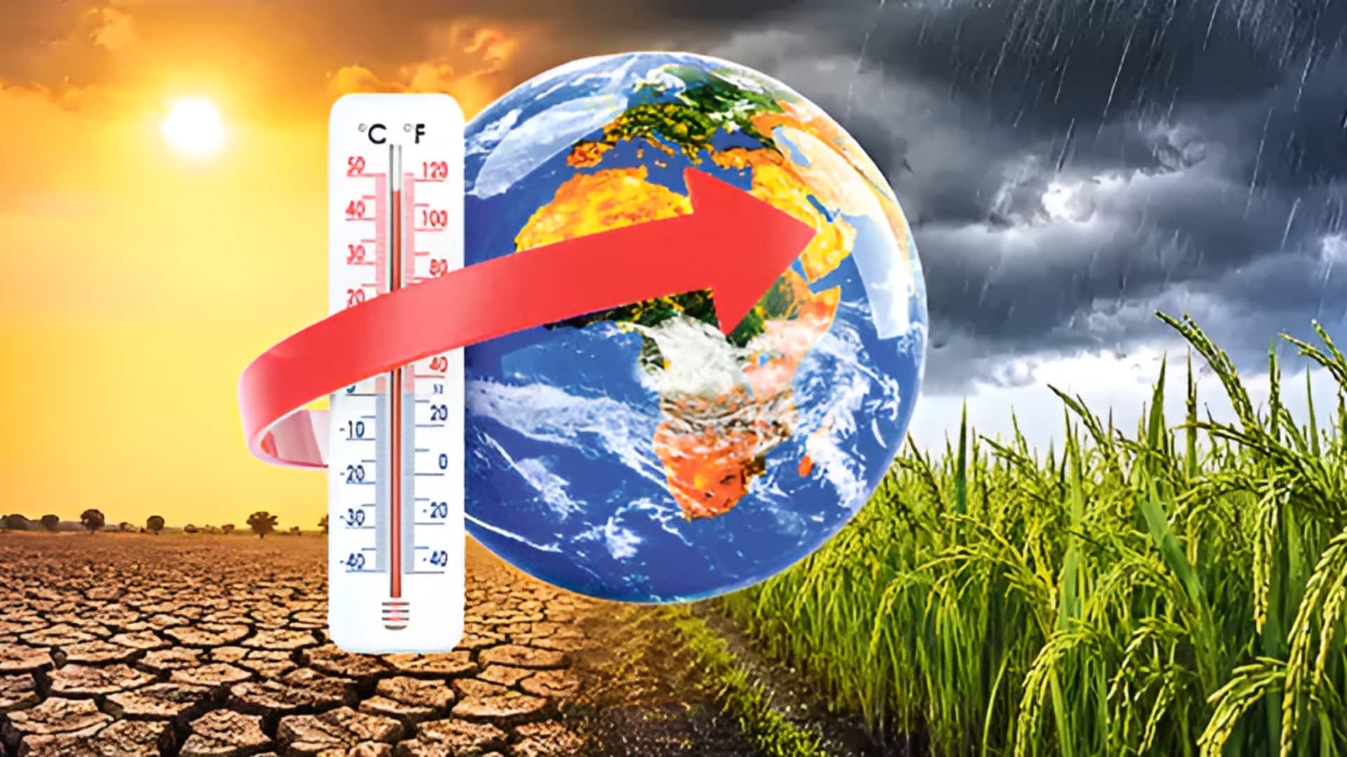 El Niño Hits Kharif: ఖరీఫ్‌కు ఎల్‌నినో ఎఫెక్ట్‌..16 జిల్లాల్లో లోటు వర్షపాతం