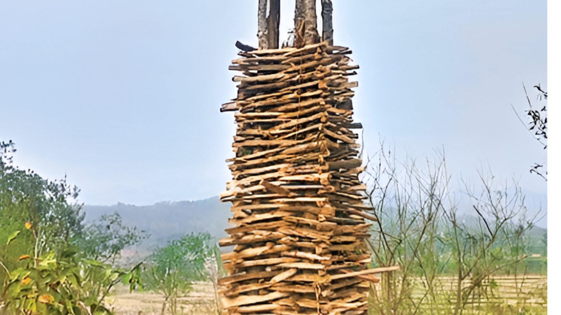 Manyam: 70-80 అడుగుల శిఖరంతో తాజంగి హోలీ ప్రత్యేకత