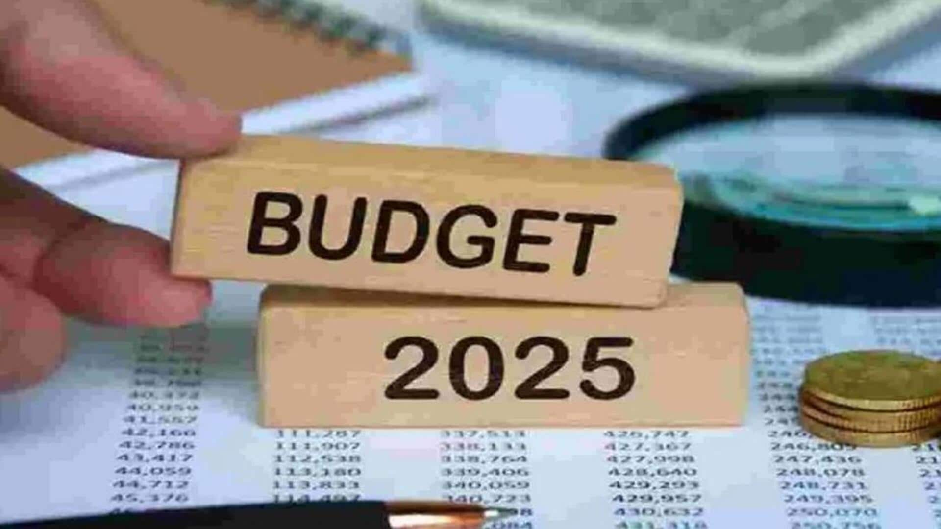 Budget : బడ్జెట్ 2025.. ఆదాయ శ్లాబ్స్‌పై కేంద్ర ప్రభుత్వం కీలక నిర్ణయాలు తీసుకుంటుందా? 