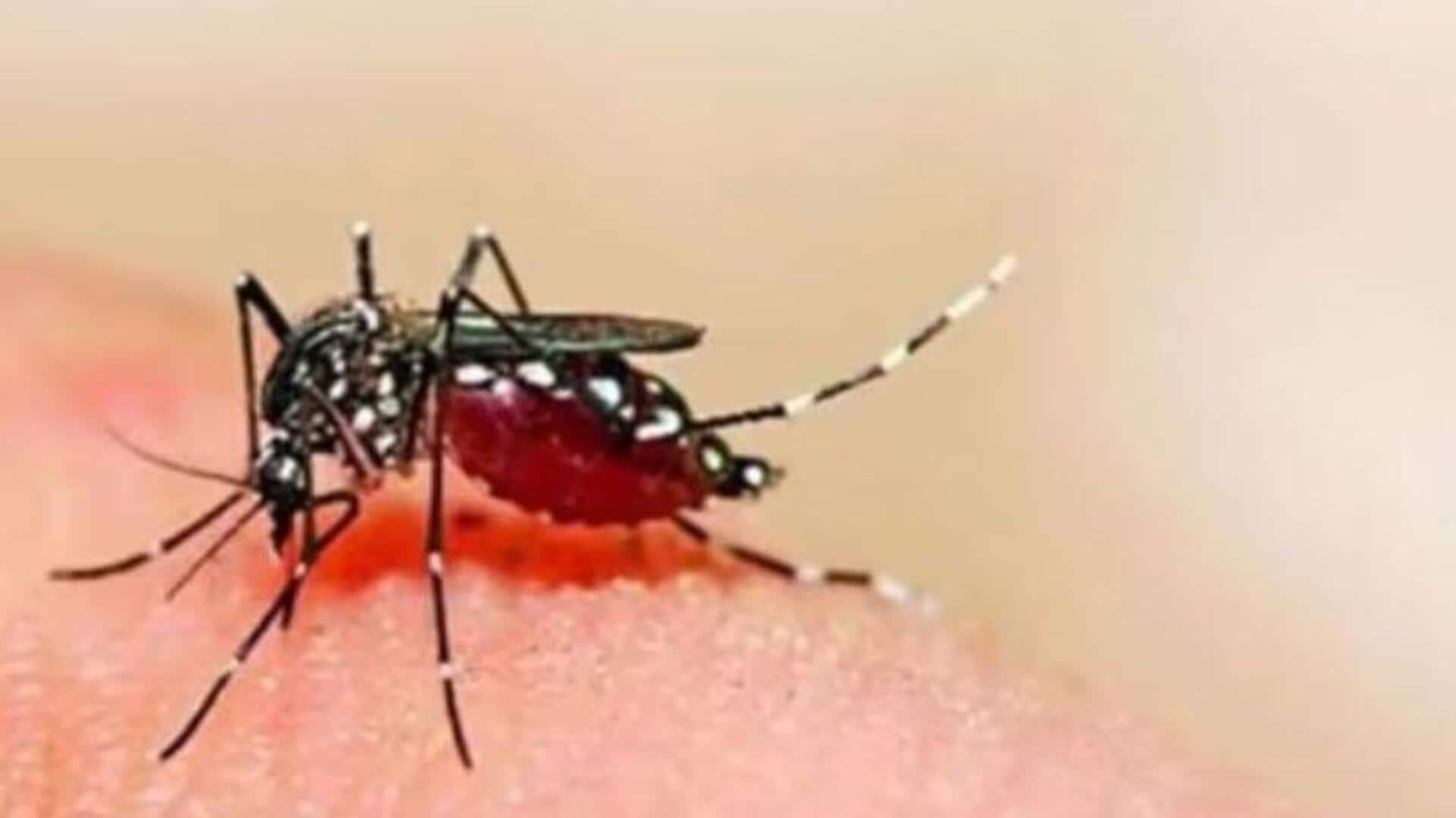 Dengue: డెంగ్యూ ప్రభావం.. ఎపిడెమిక్‌గా ప్రకటించిన కర్ణాటక ప్రభుత్వం 