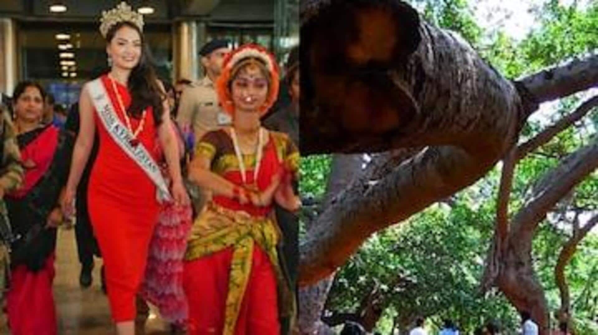 Pillalamarri Banyan Tree: నేడు పాలమూరుని సందర్శించనున్న ప్రపంచ అందగత్తెలు ! Pillalamarri Banyan Tree: నేడు పాలమూరుని సందర్శించనున్న ప్రపంచ అందగత్తెలు !