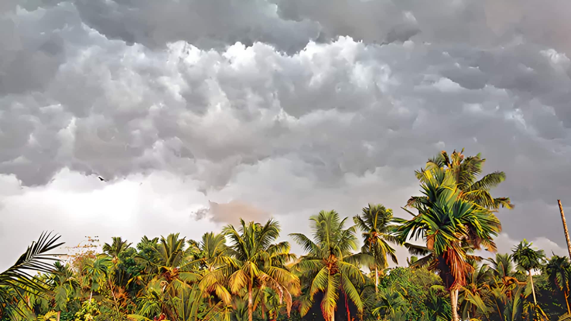 Andhra Pradesh: ఏపీకి చల్లని కబురు.. రాష్ట్రంలోకి ప్రవేశించిన నైరుతి రుతుపవనాలు