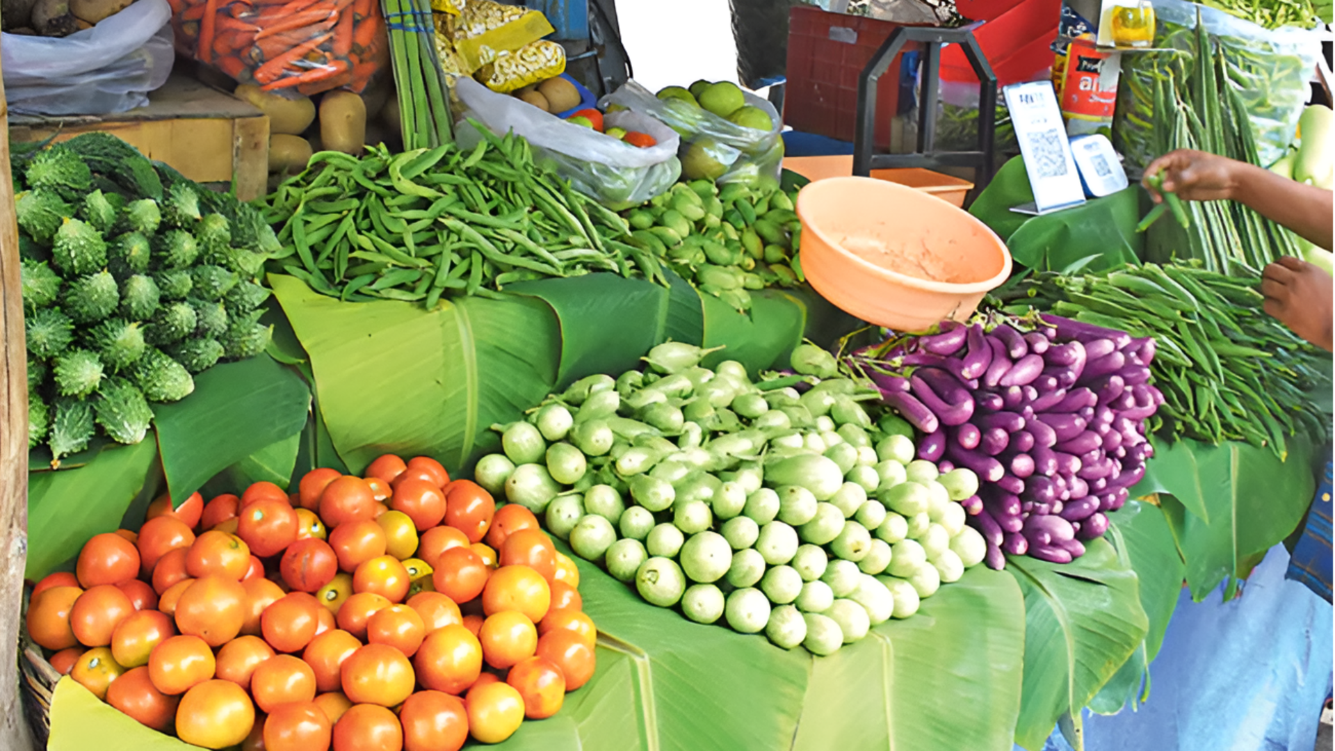 Telangana: ఎల్‌నినో ప్రభావం.. తెలంగాణలో 1.72 లక్షల ఎకరాలకు ఉద్యాన పంటల కోత