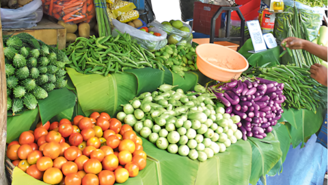 Telangana: ఎల్‌నినో ప్రభావం.. తెలంగాణలో 1.72 లక్షల ఎకరాలకు ఉద్యాన పంటల కోత