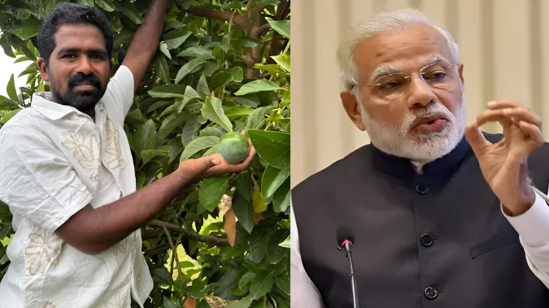 PM Modi: మోదీ మెచ్చిన కడప రైతు.. యూట్యూబ్‌ చూసి అవకాడో సాగు, అదిరిపోయే సక్సెస్‌!