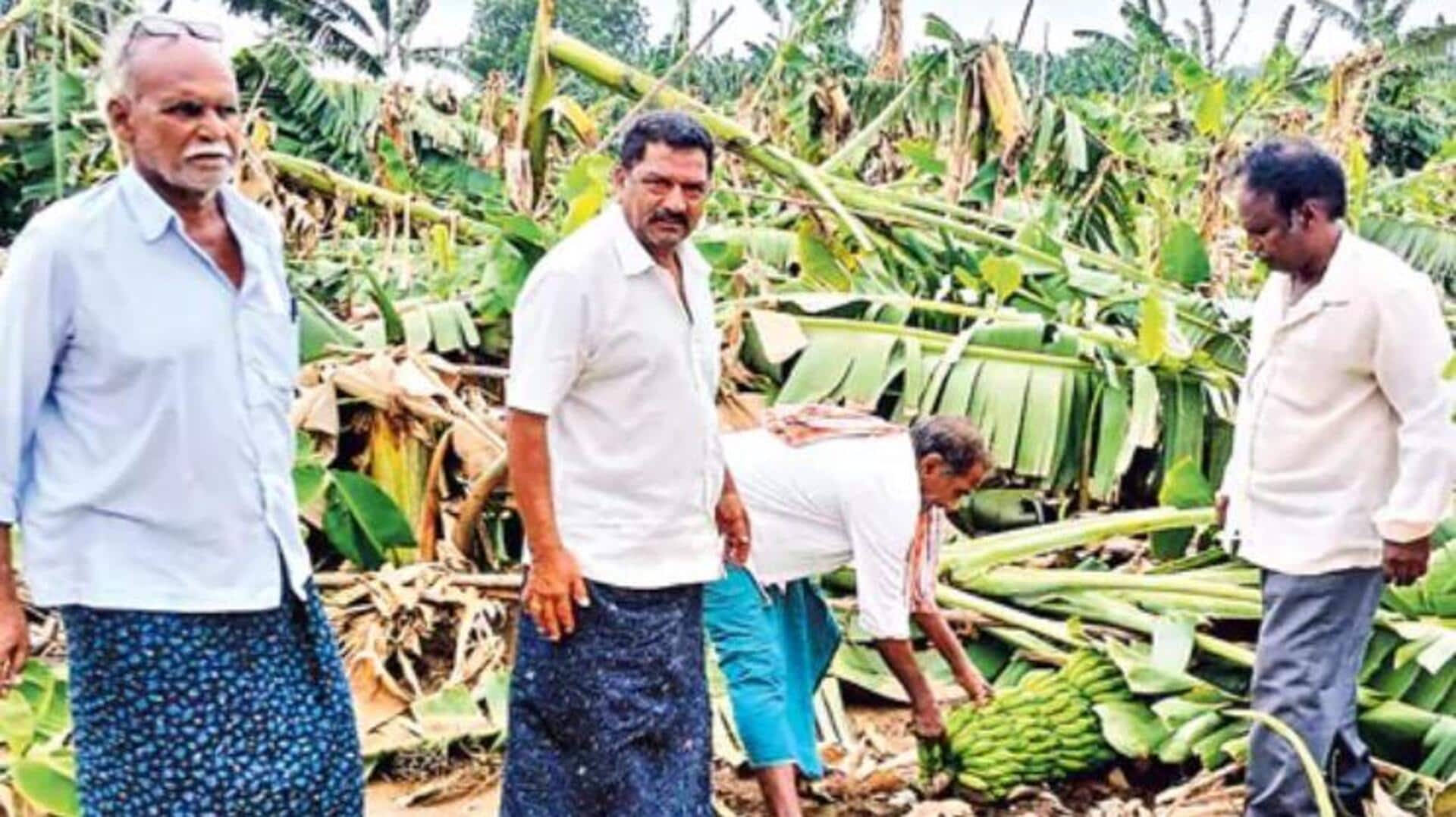 AP Rains: గాలివాన బీభత్సం.. ఏడుగురు మృతి.. వందల ఎకరాల పంట నష్టం AP Rains: గాలివాన బీభత్సం.. ఏడుగురు మృతి.. వందల ఎకరాల పంట నష్టం