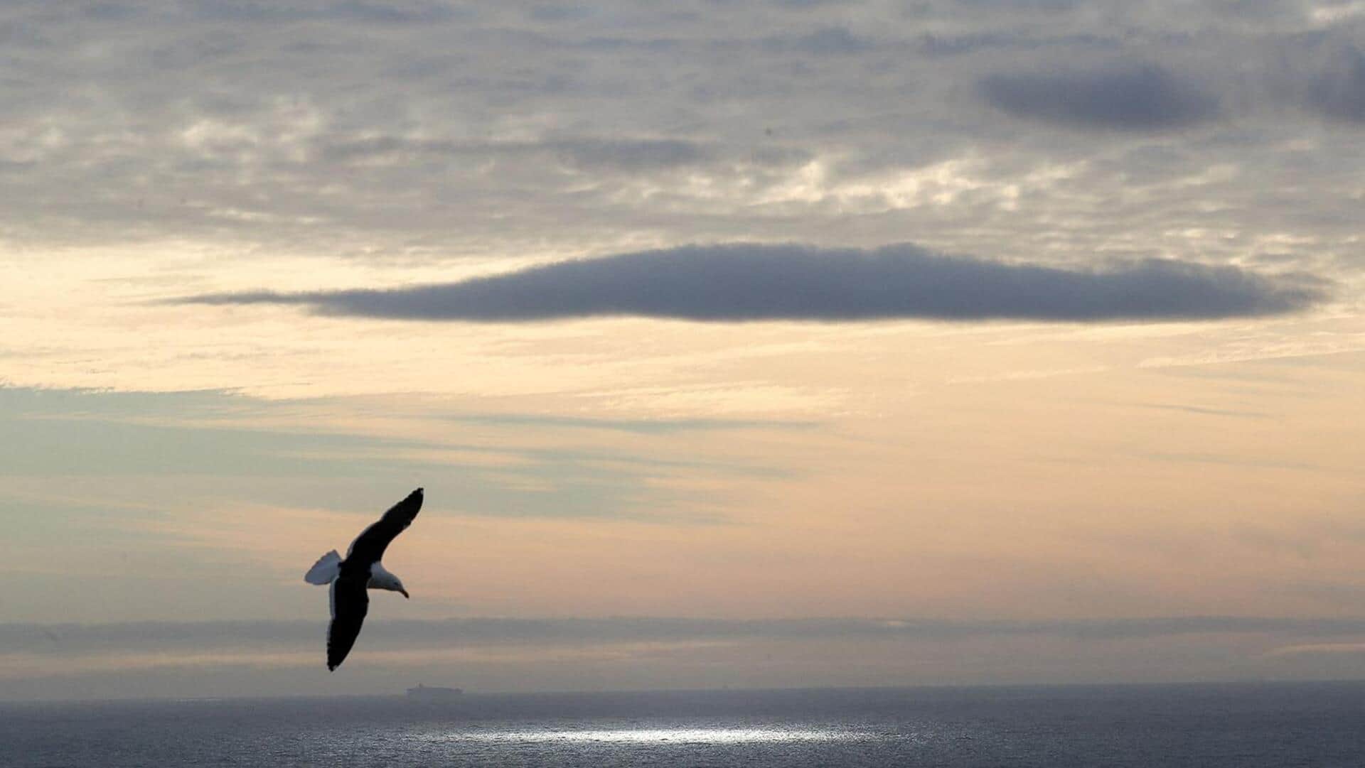 Russia: రష్యాలో భారీ భూకంపం.. భయంతో ప్రజలు పరుగులు! 