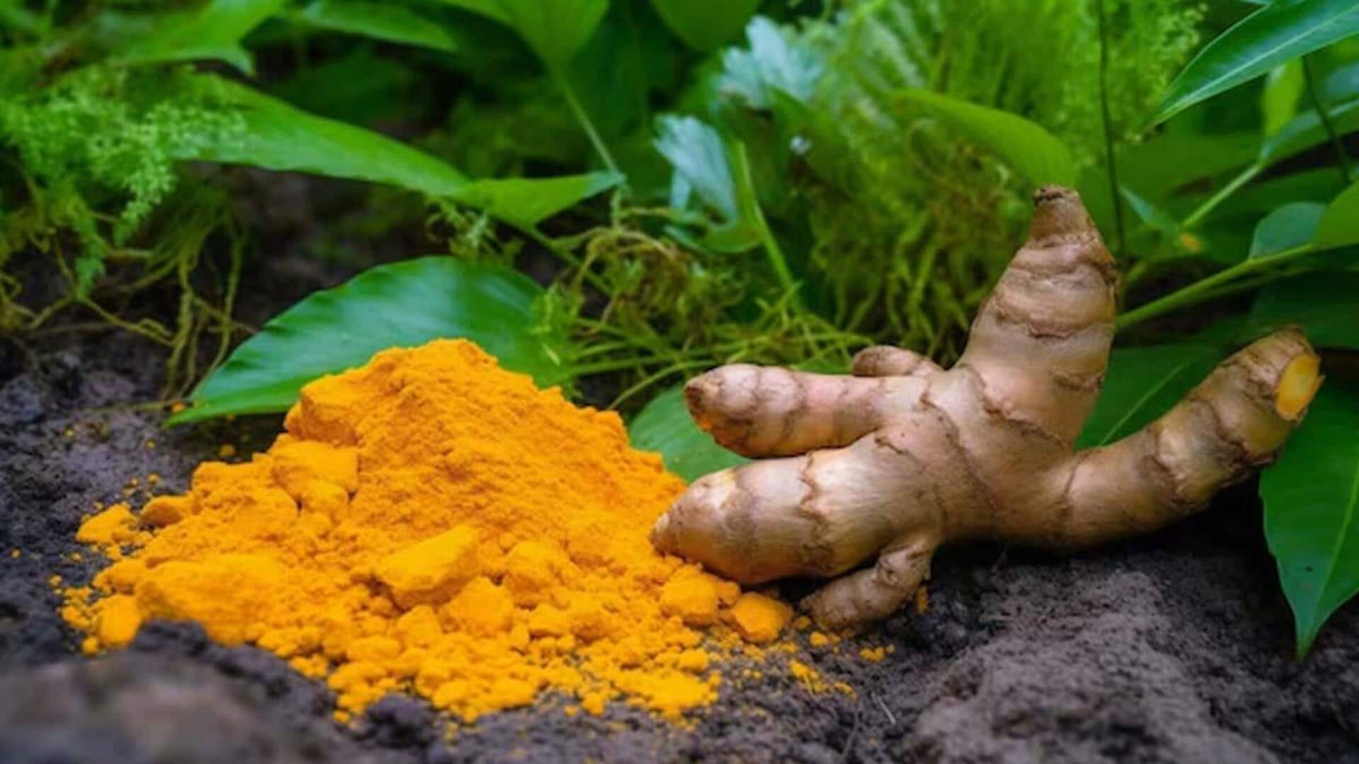 Turmeric at home: ఇంట్లోనే సులభంగా పసుపు సాగు.. ఇలా పెంచితే మంచి దిగుబడి