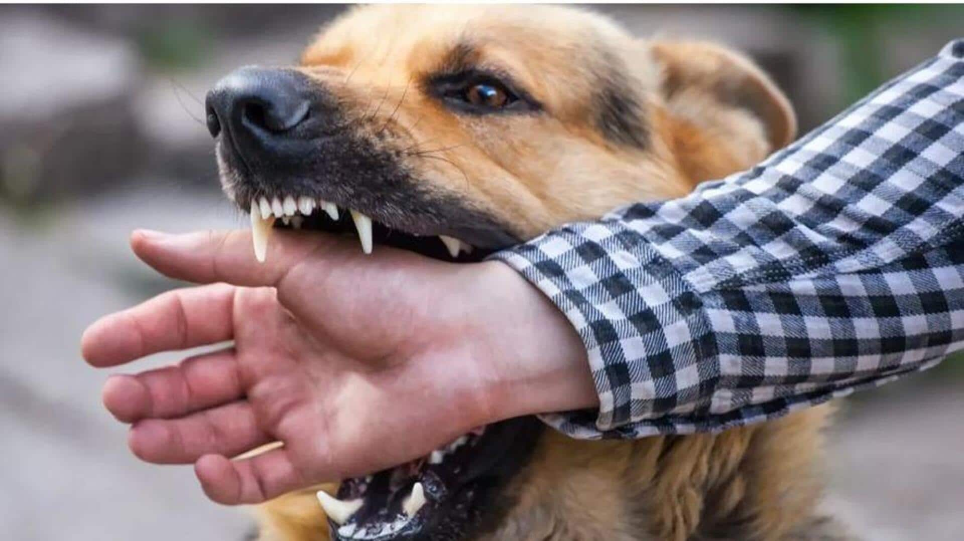 Rabies Deaths: భారతదేశంలో రేబిస్ మరణాలు 2.5 రెట్లు పెరుగుదల.. ప్రతి నెలా నలుగురు మృతి