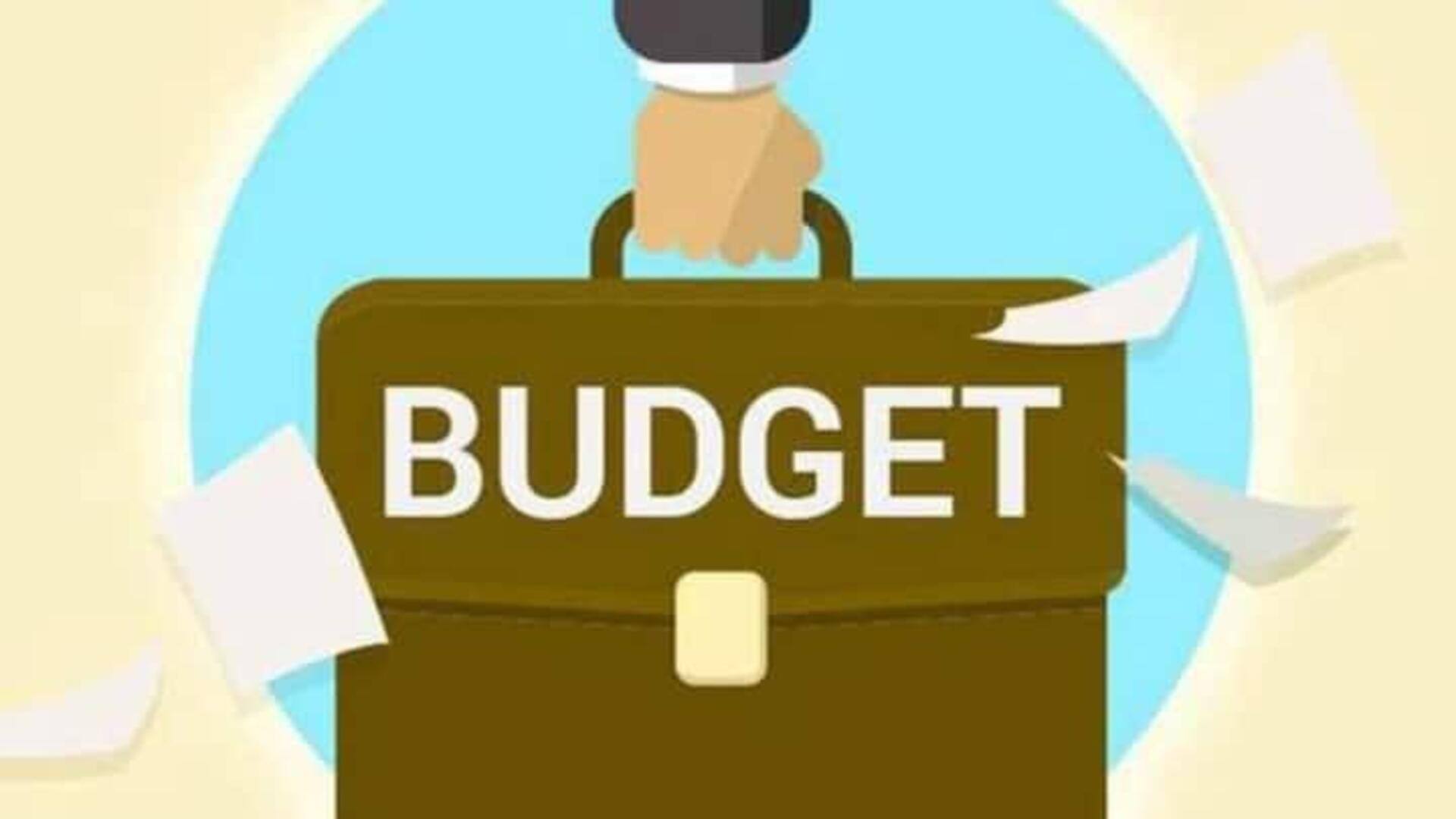 India's Budget 2024: వ్యక్తిగత పన్ను రేటును తగ్గించాలని కేంద్రం భావిస్తోంది 