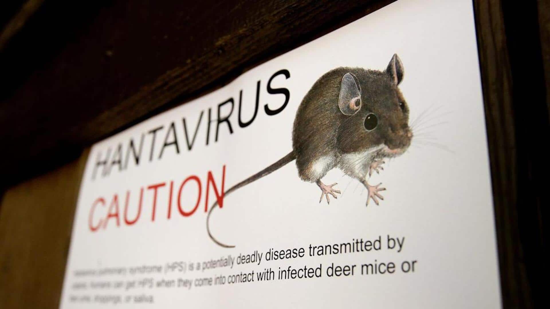Hantavirus Alert: హంటావైరస్ ముప్పు పెరుగుతోందా?.. లక్షణాలు, జాగ్రత్తలు తెలుసుకోండి!