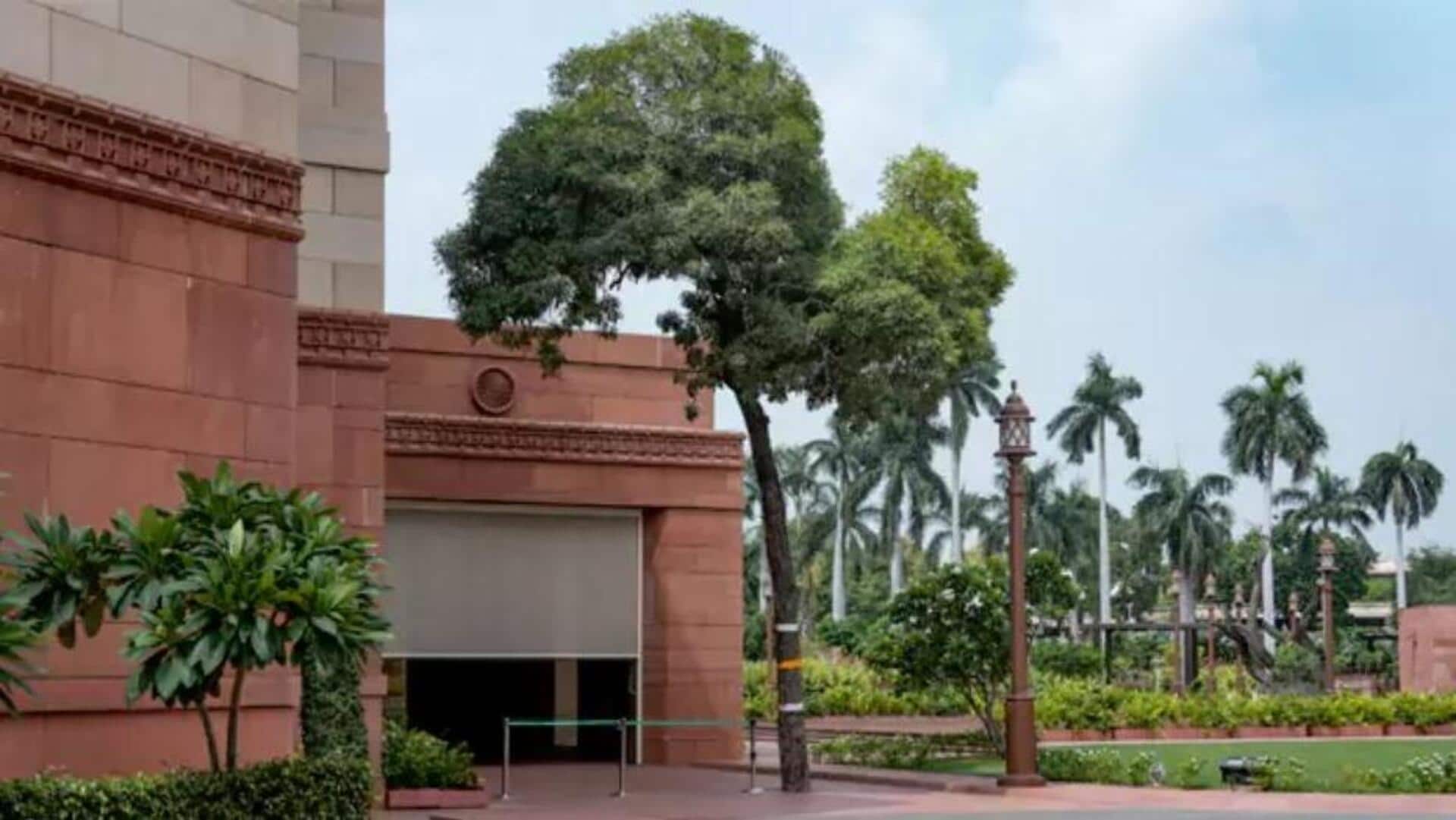 Parliament: పార్లమెంట్ గజ ద్వారం వద్ద 'నంబర్ 1' చెట్టు.. వీవీఐపీ భద్రతకు సవాల్! Parliament: పార్లమెంట్ గజ ద్వారం వద్ద 'నంబర్ 1' చెట్టు.. వీవీఐపీ భద్రతకు సవాల్!